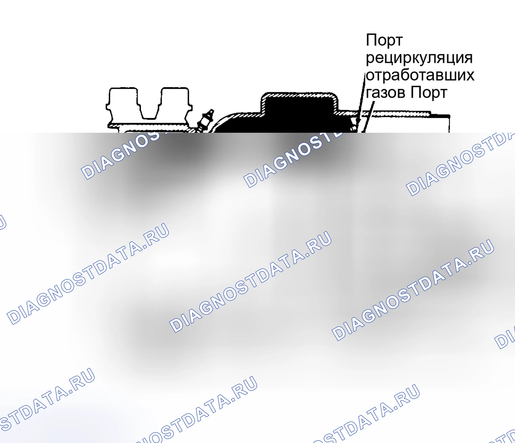 Рис. 29: СИСТЕМА РЕЦИРКУЛЯЦИИ ОТРАБОТАВШИХ ГАЗОВ (рециркуляция отработавших газов). Toyota Cressida IV