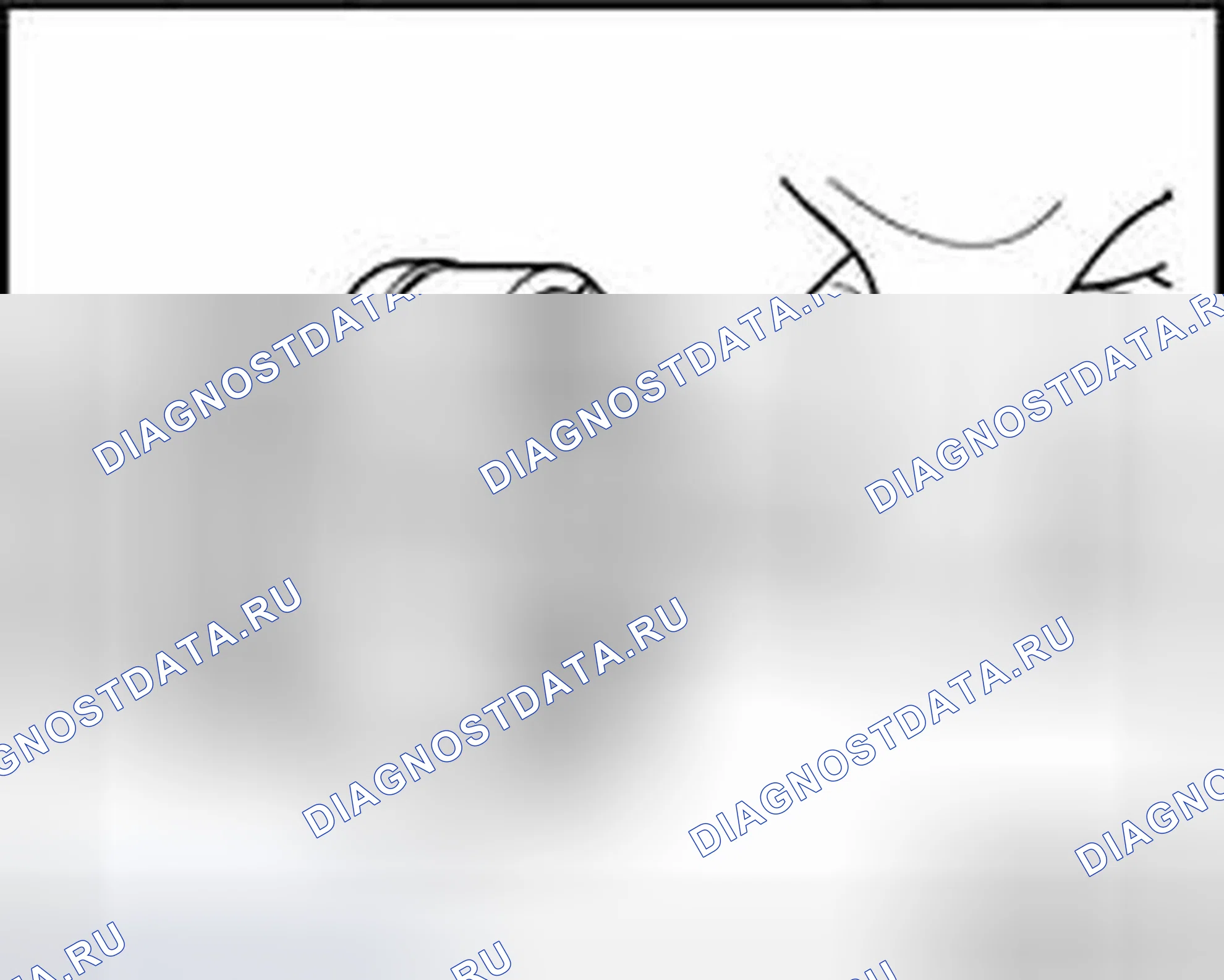 Рис. 242. Audi S8 D3 рестайлинг