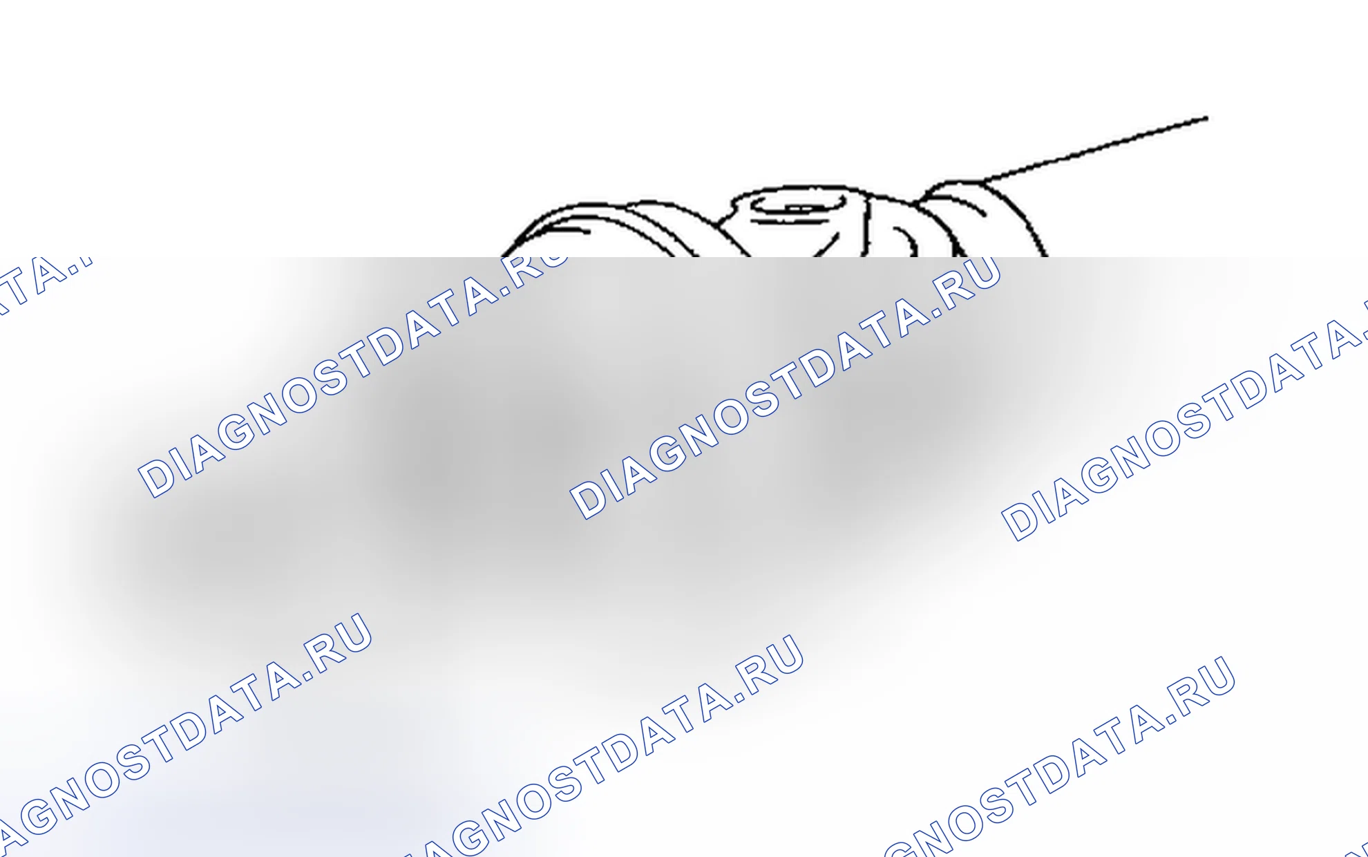 Рис. 23. Lexus IS F I