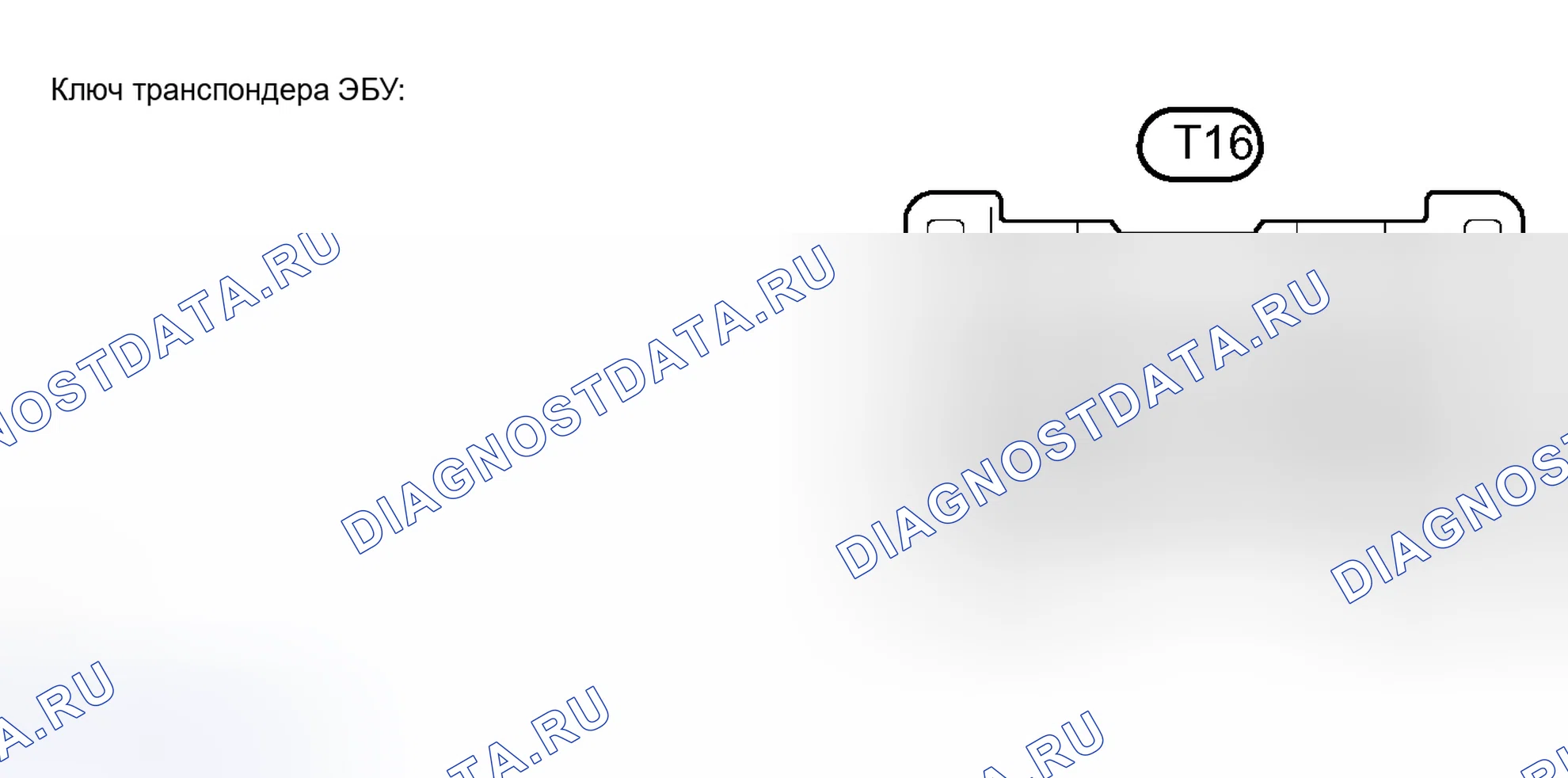 Рис. 4: КЛЕММЫ ЭБУ. Toyota Sequoia I рестайлинг
