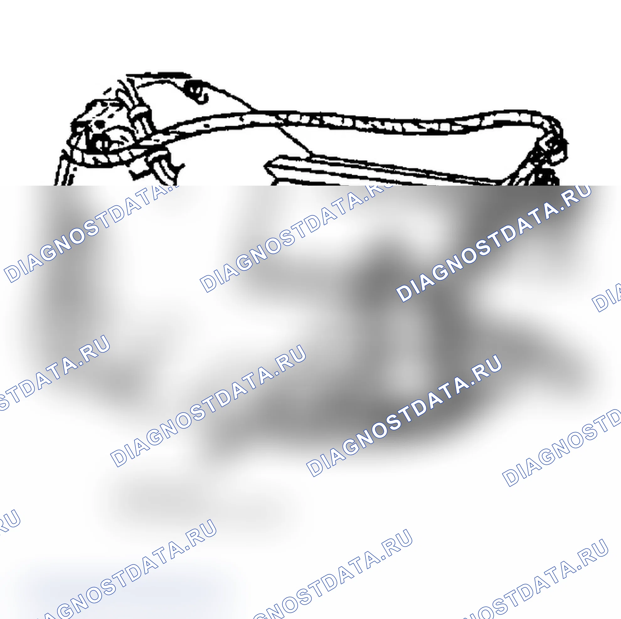 Рис. 366. Dodge Dakota 