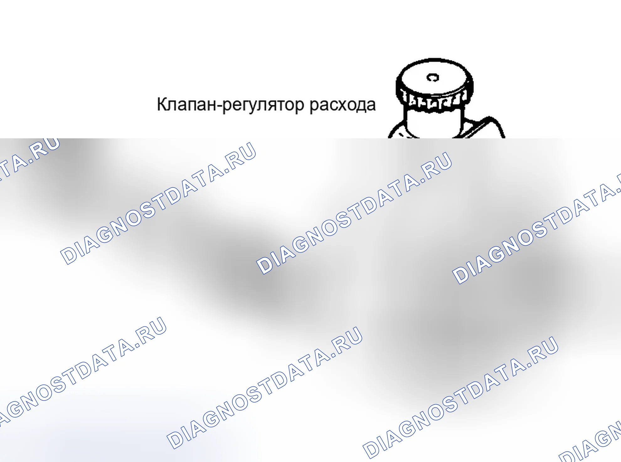 Рис. 6. Dodge Dakota WS 