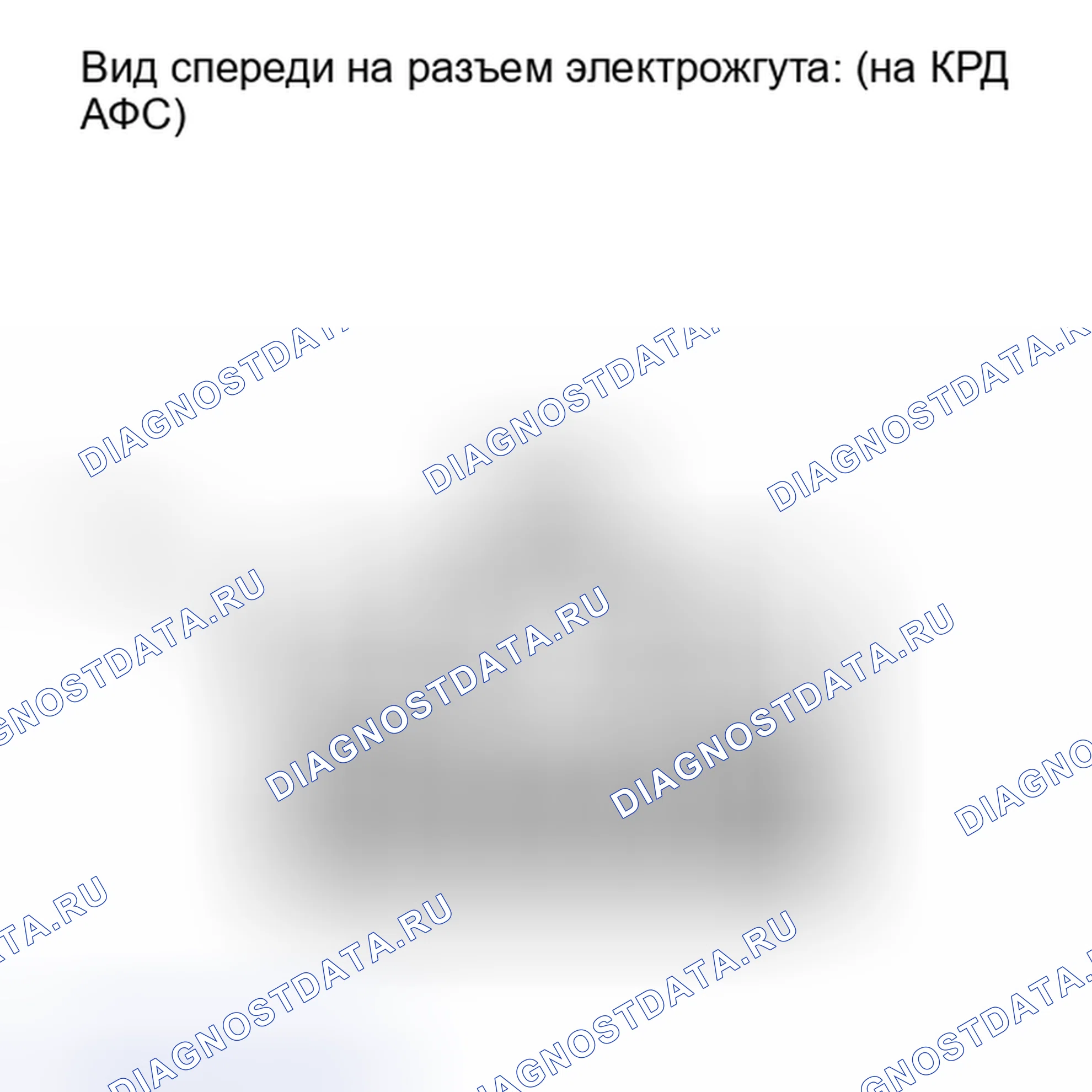 Рис. 246. Lexus IS F I