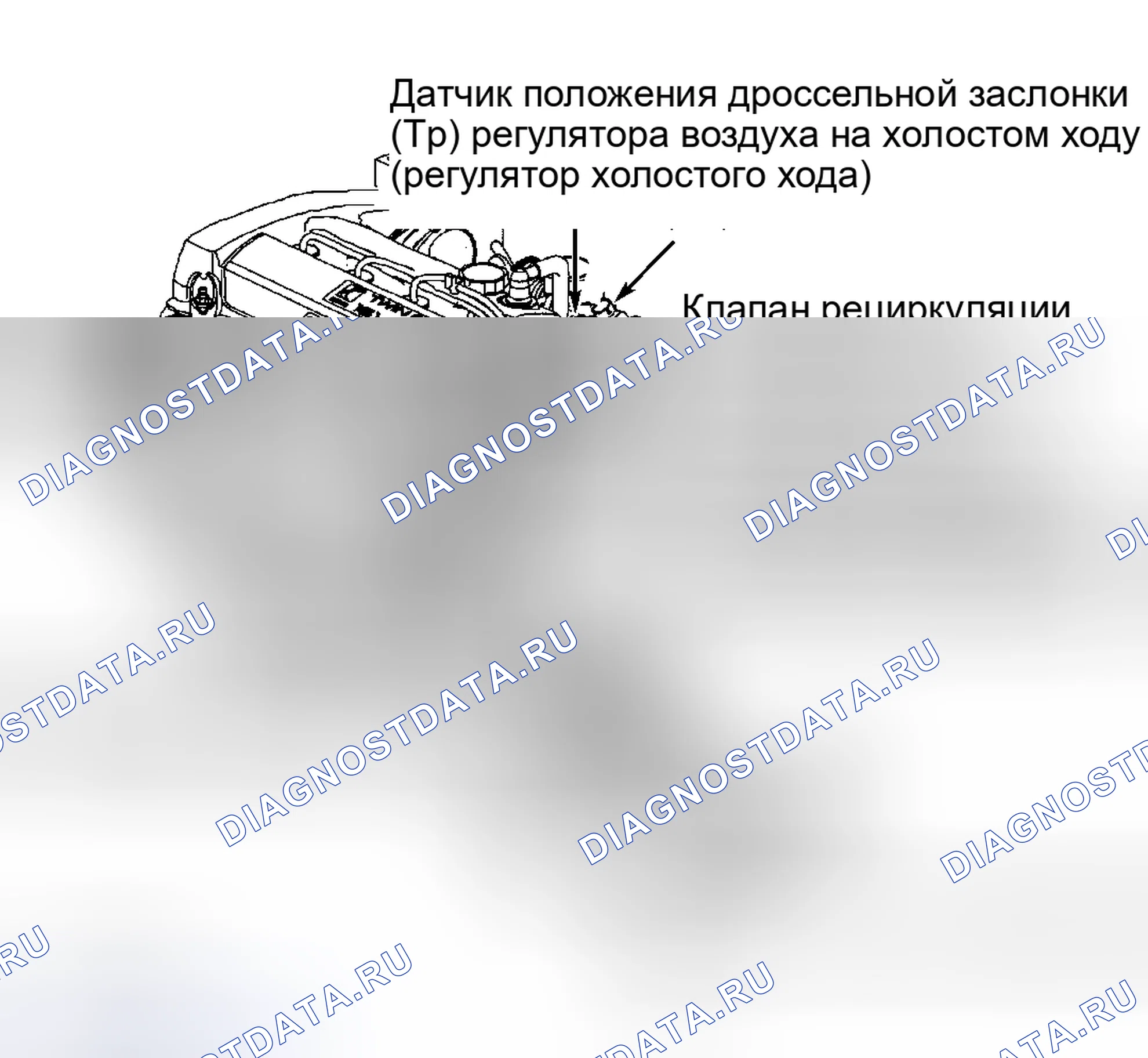 Рис. 5. Kia Rio I рестайлинг