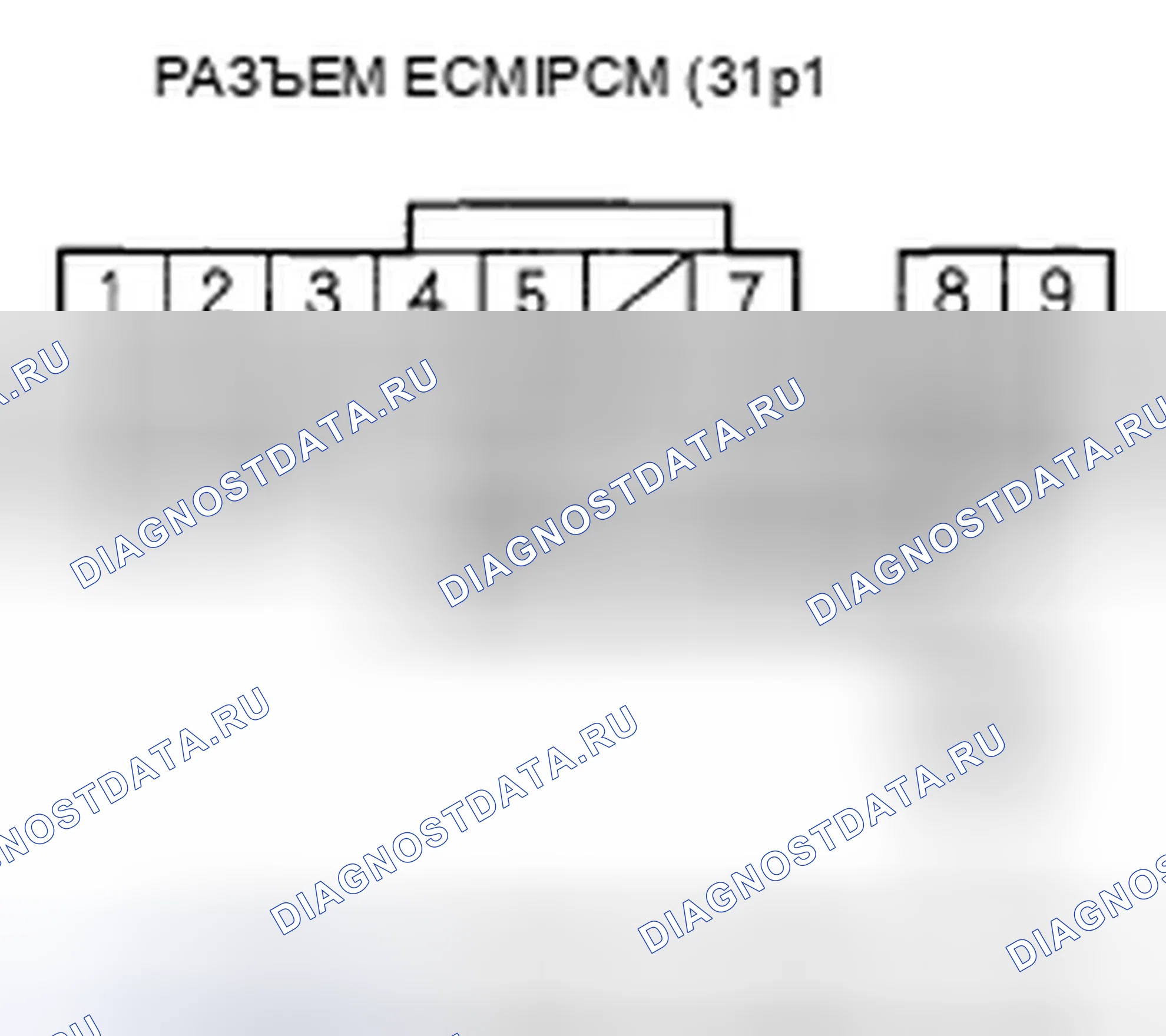 Рис. 397. Honda Element YH2 рестайлинг