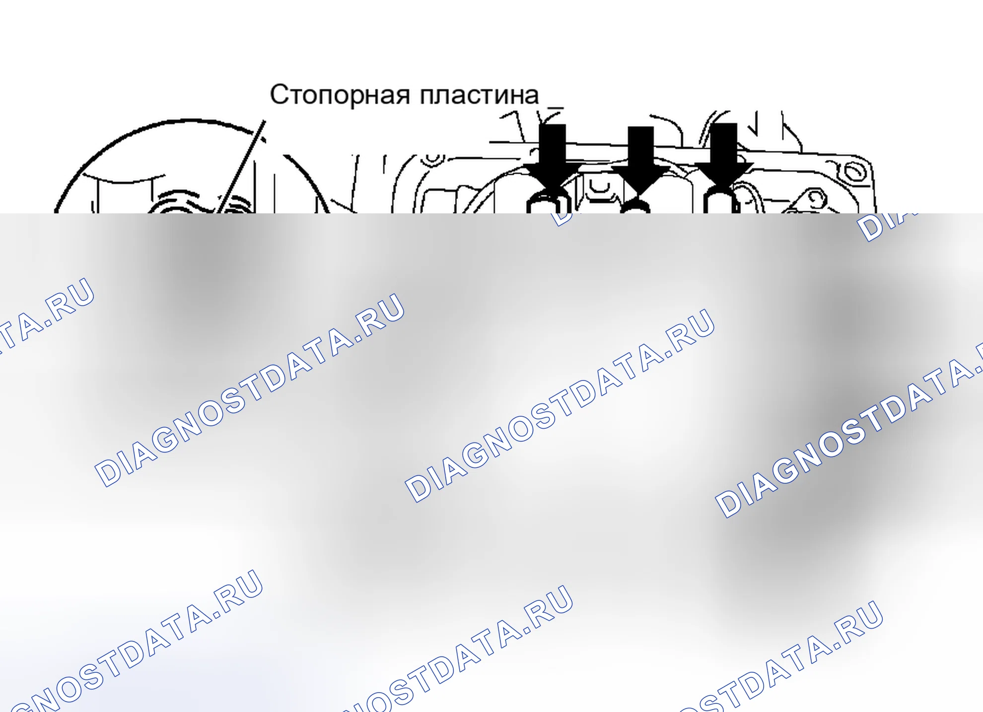 Рис. 1881. Toyota RAV4 III