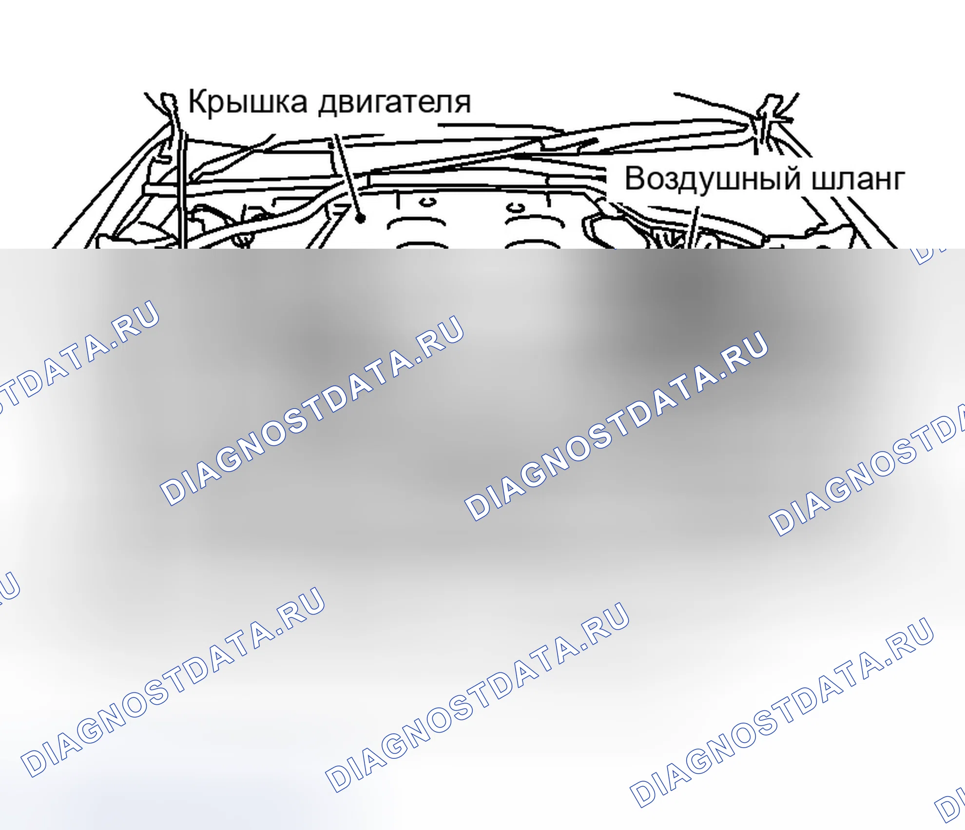 Рис. 440: ДЕМОНТАЖ. Infiniti G35 III