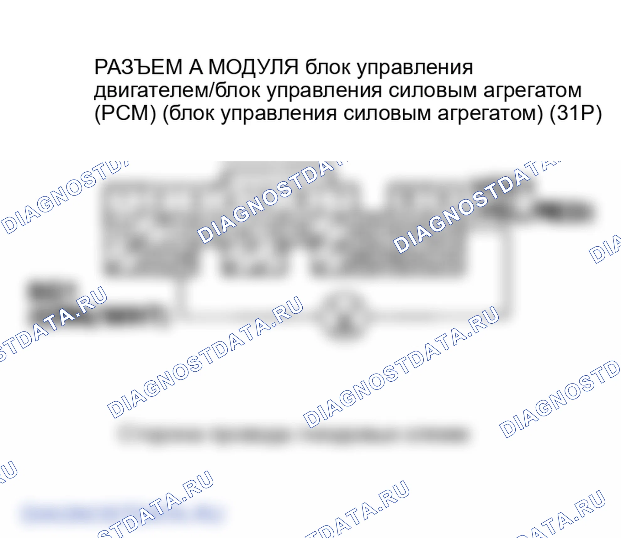 Рис. 49. Honda Element YH2