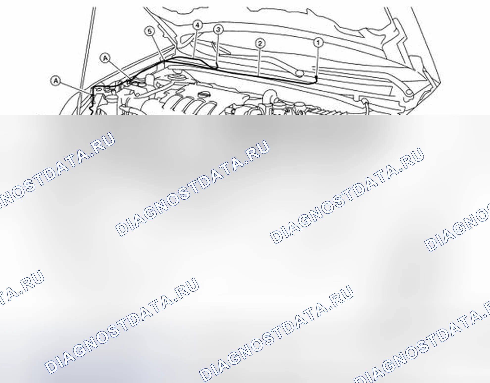 Рис. 14: Схема расположения трубок шайбы. Nissan Sentra B16