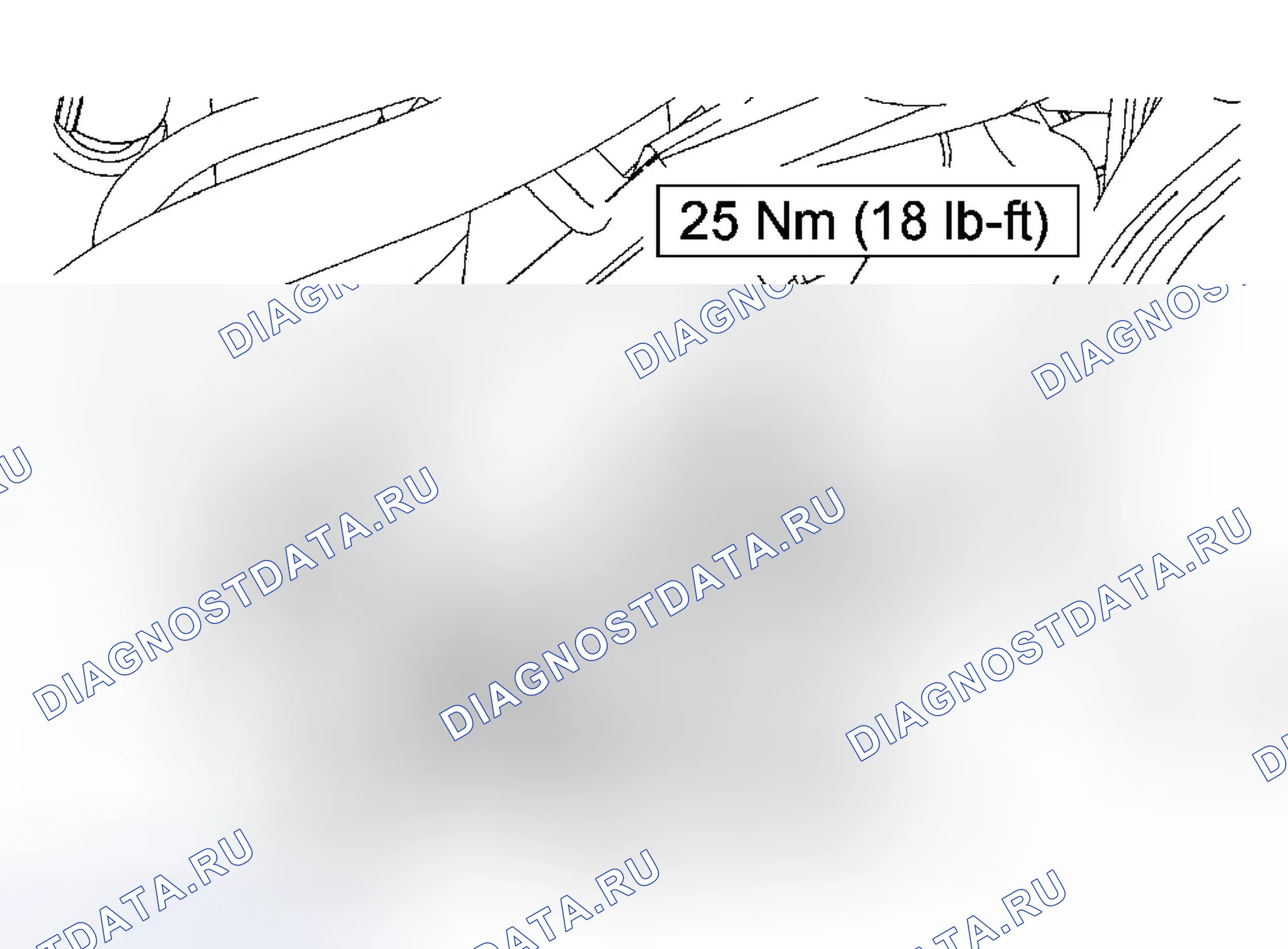 Рис. 1576. Ford Focus I рестайлинг