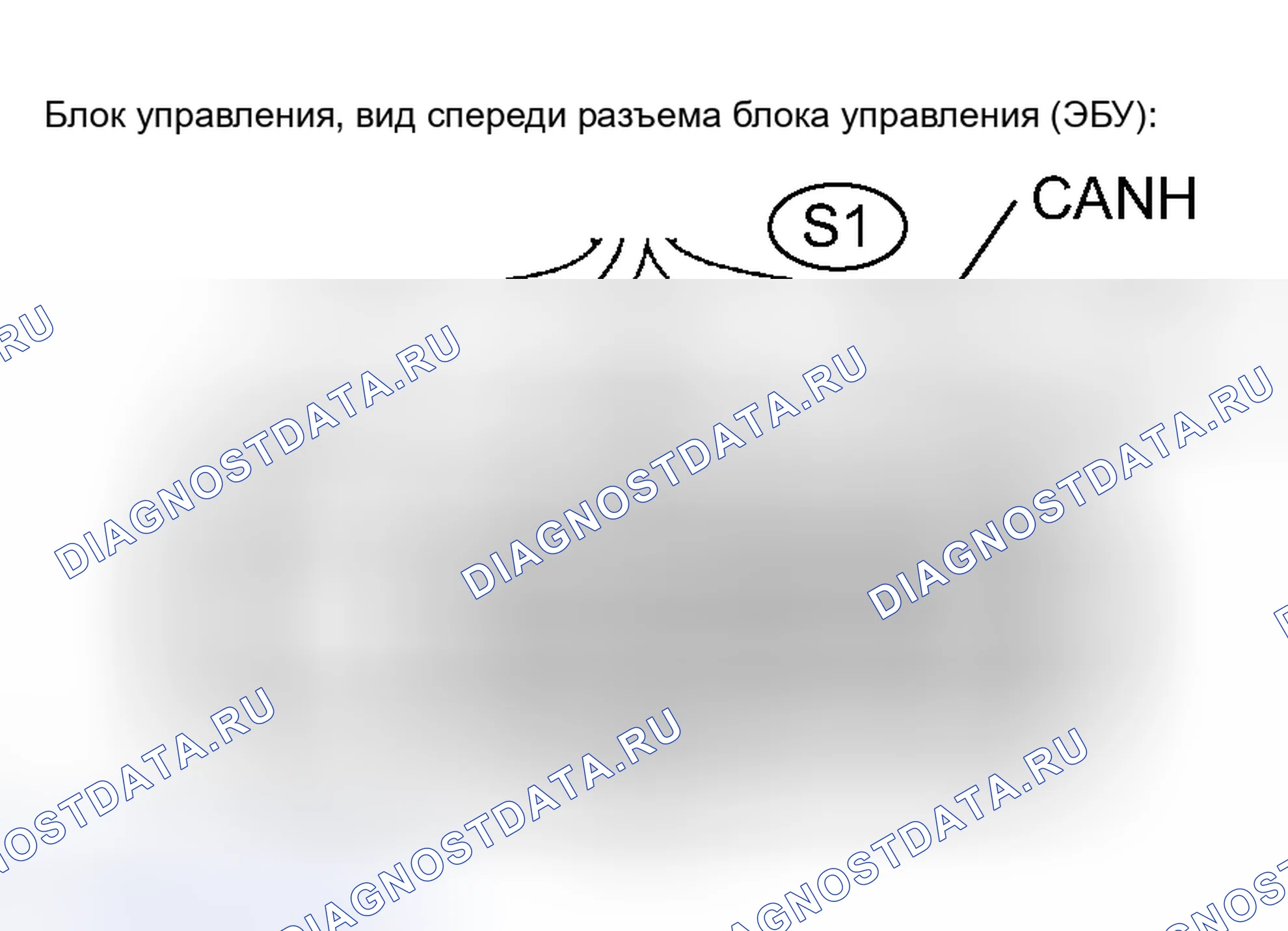 Рис. 53. Toyota Tacoma II