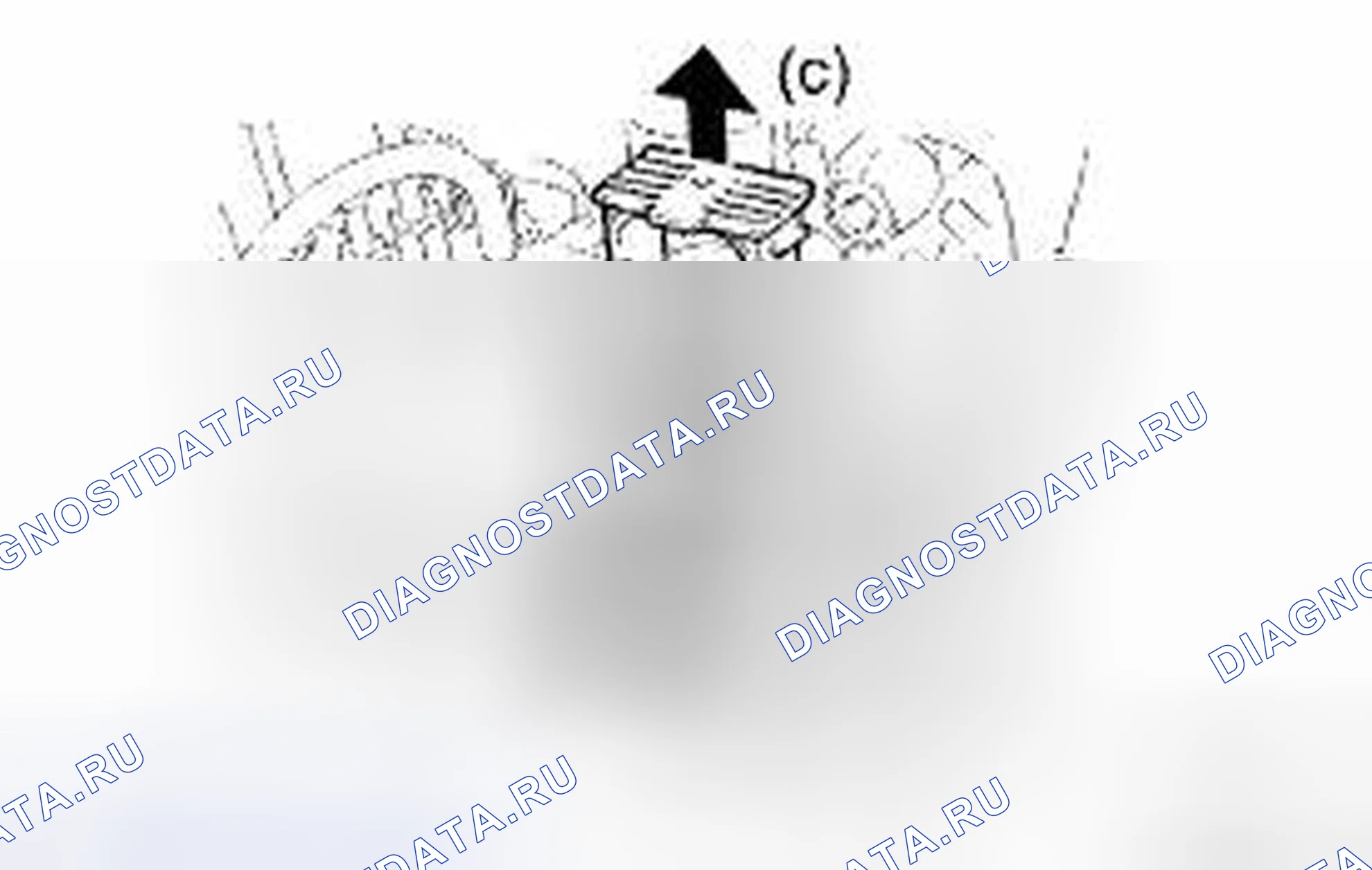 Рис. 159. Toyota Avalon XX30 рестайлинг