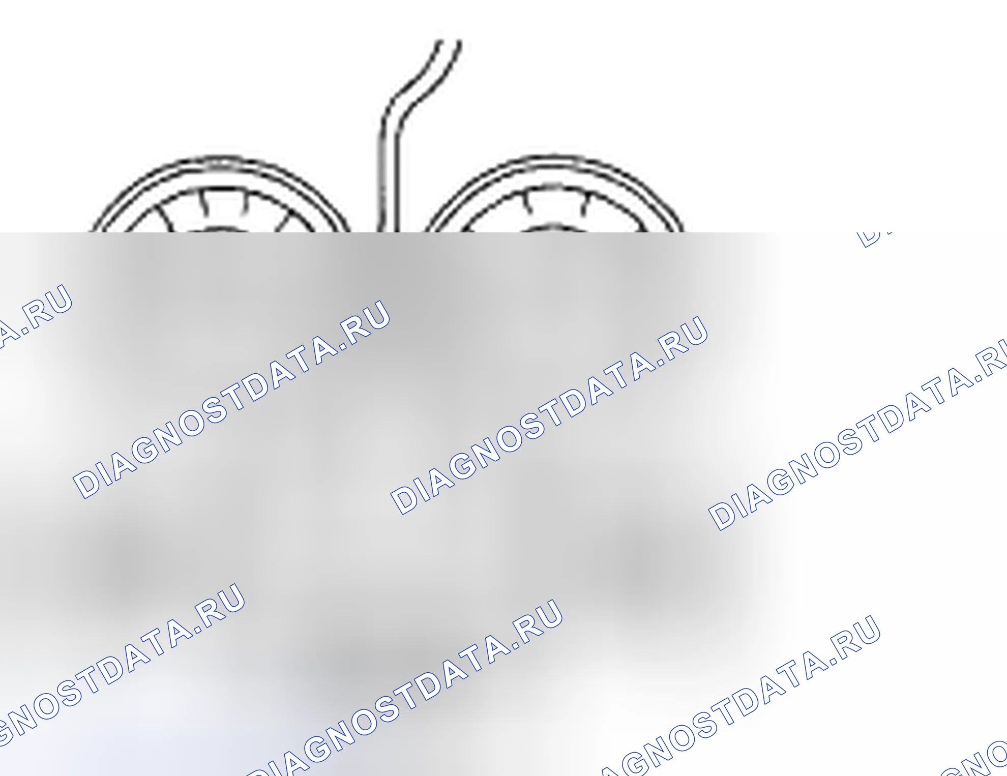 Рис. 75. Subaru Legacy BL/BP рестайлинг