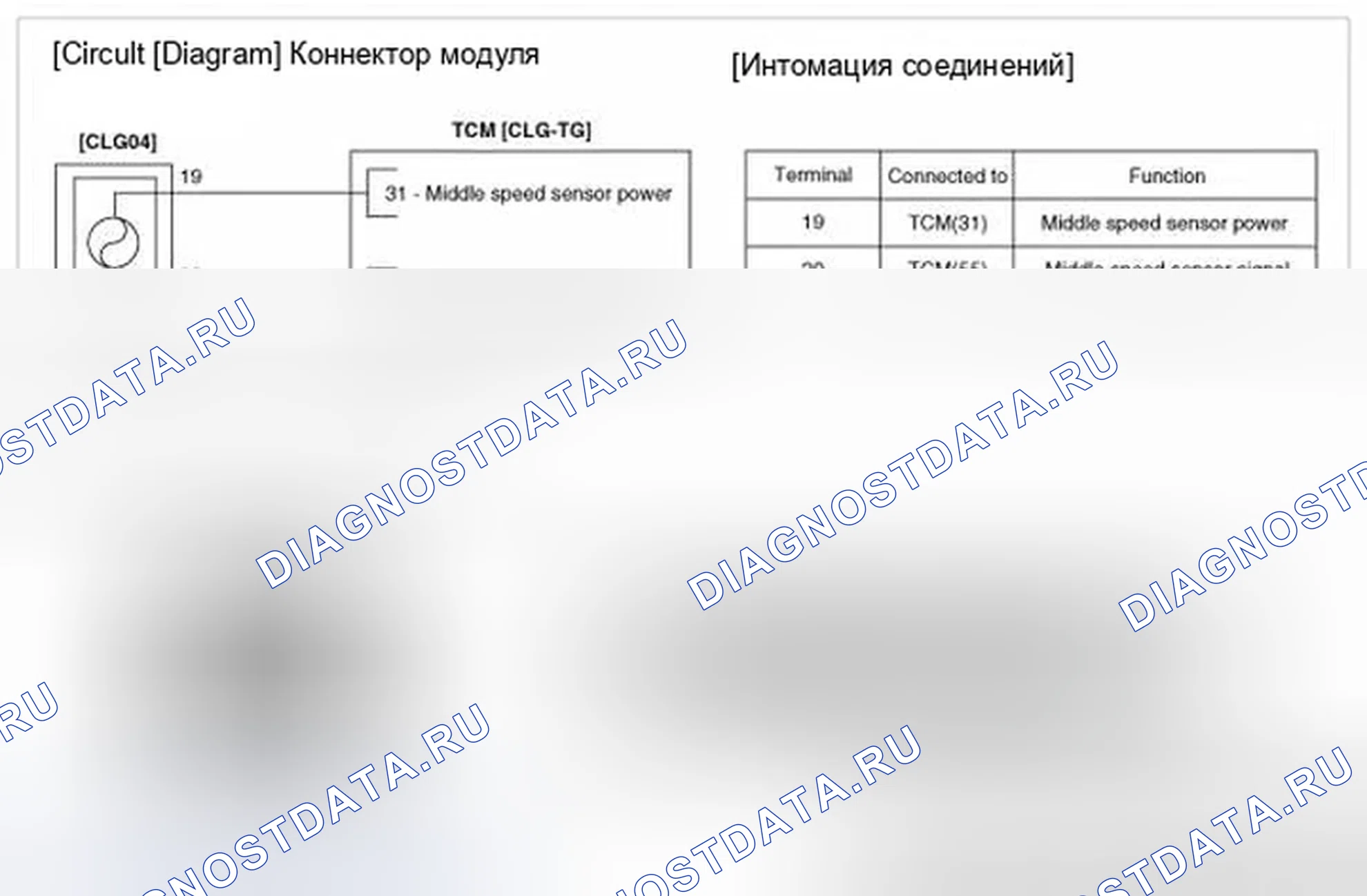 Рис. 535: Принципиальная схема. Hyundai Genesis I рестайлинг