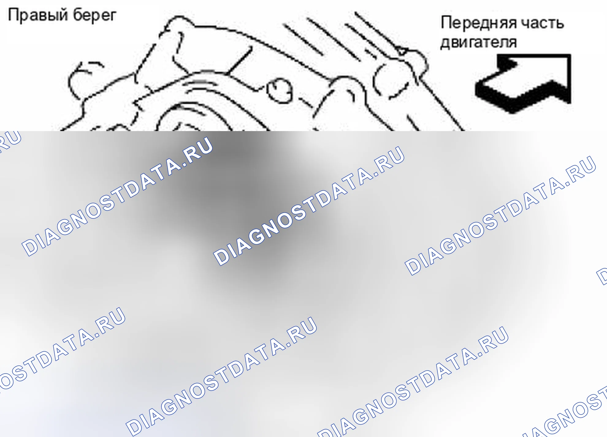 Рис. 304. Suzuki Equator I