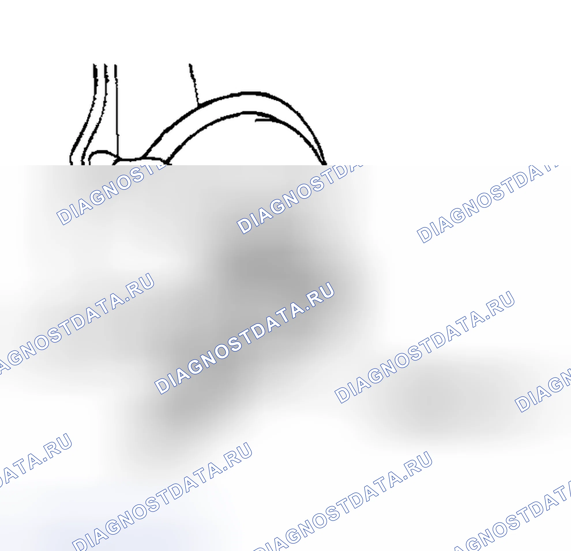 Рис. 159. Mazda MX-5 NA
