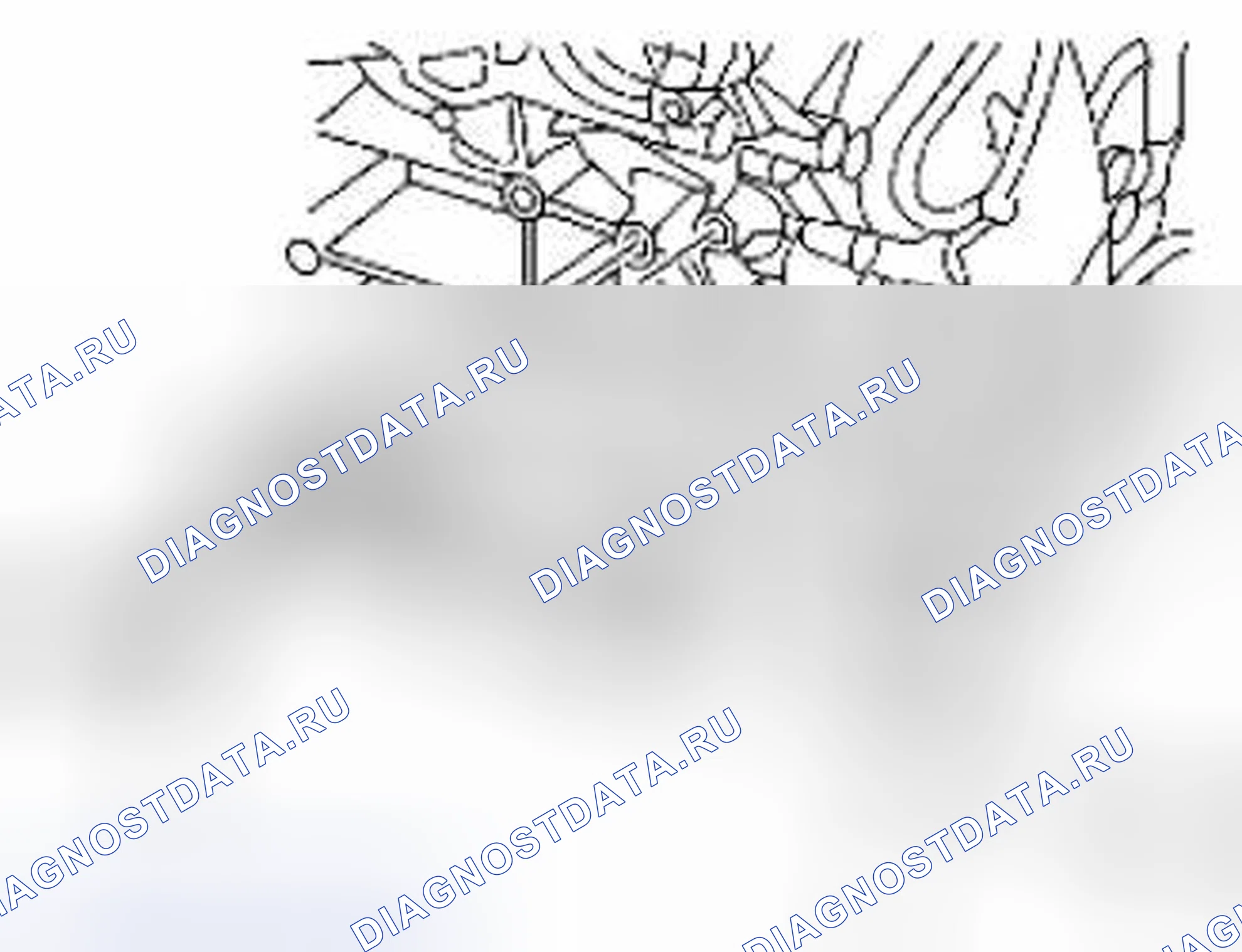 Рис. 2: Установка. Suzuki Equator I