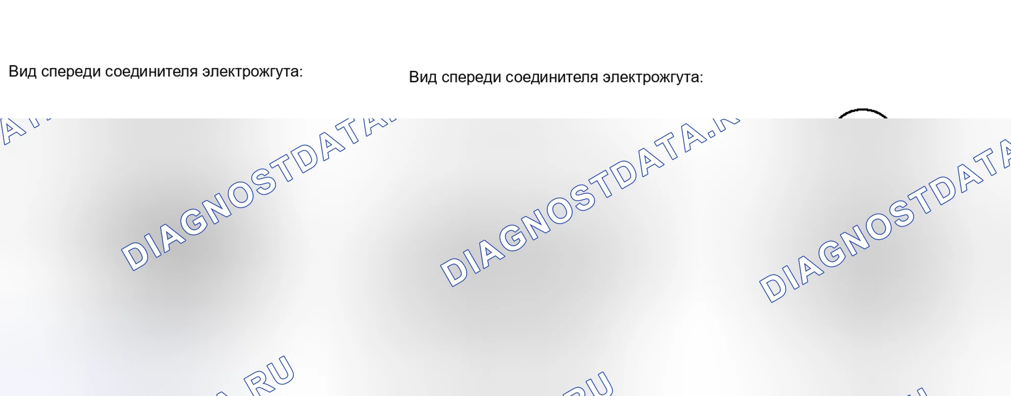 Рис. 93. Lexus IS F I