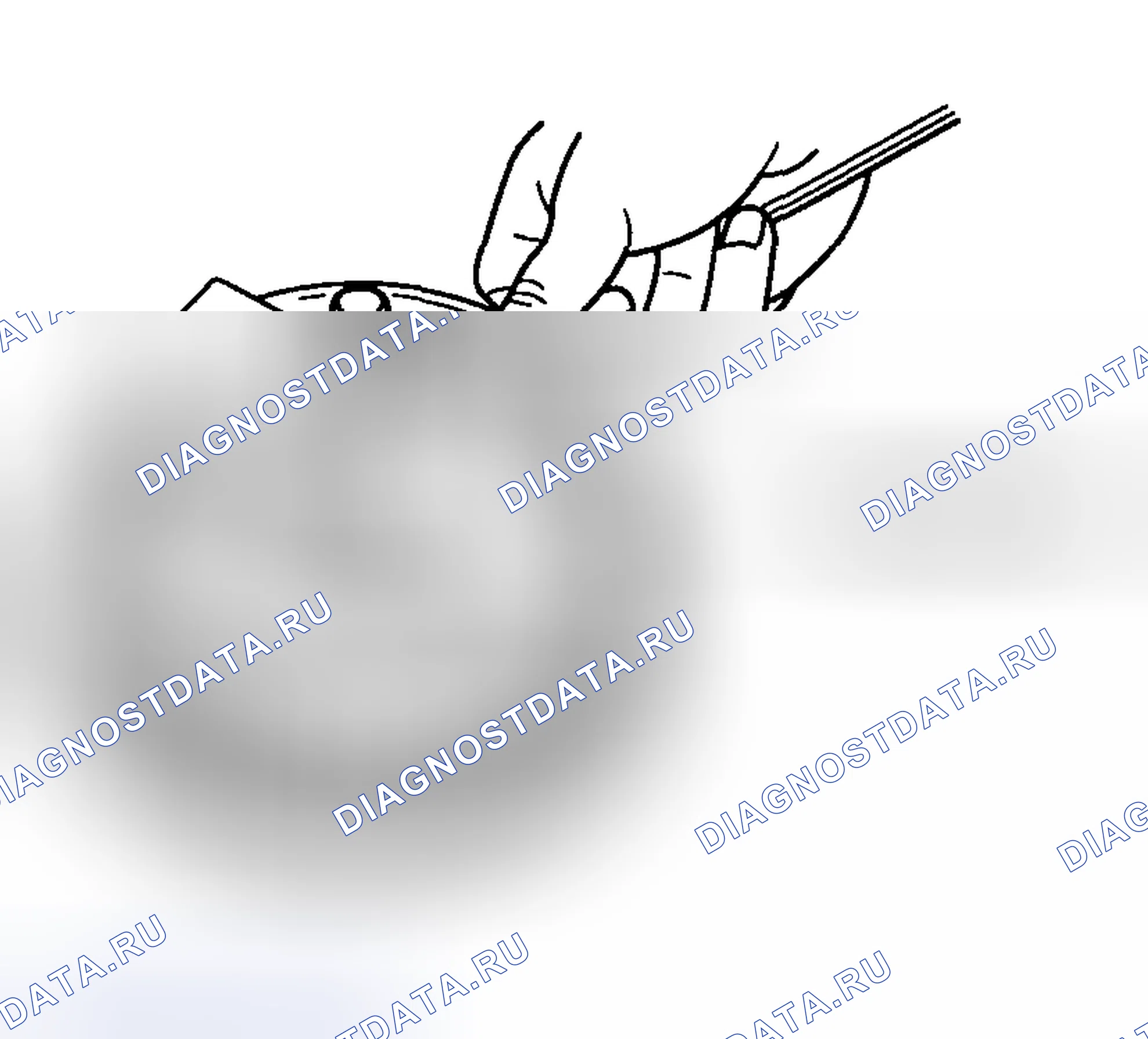 Рис. 279. Haval Chitu I