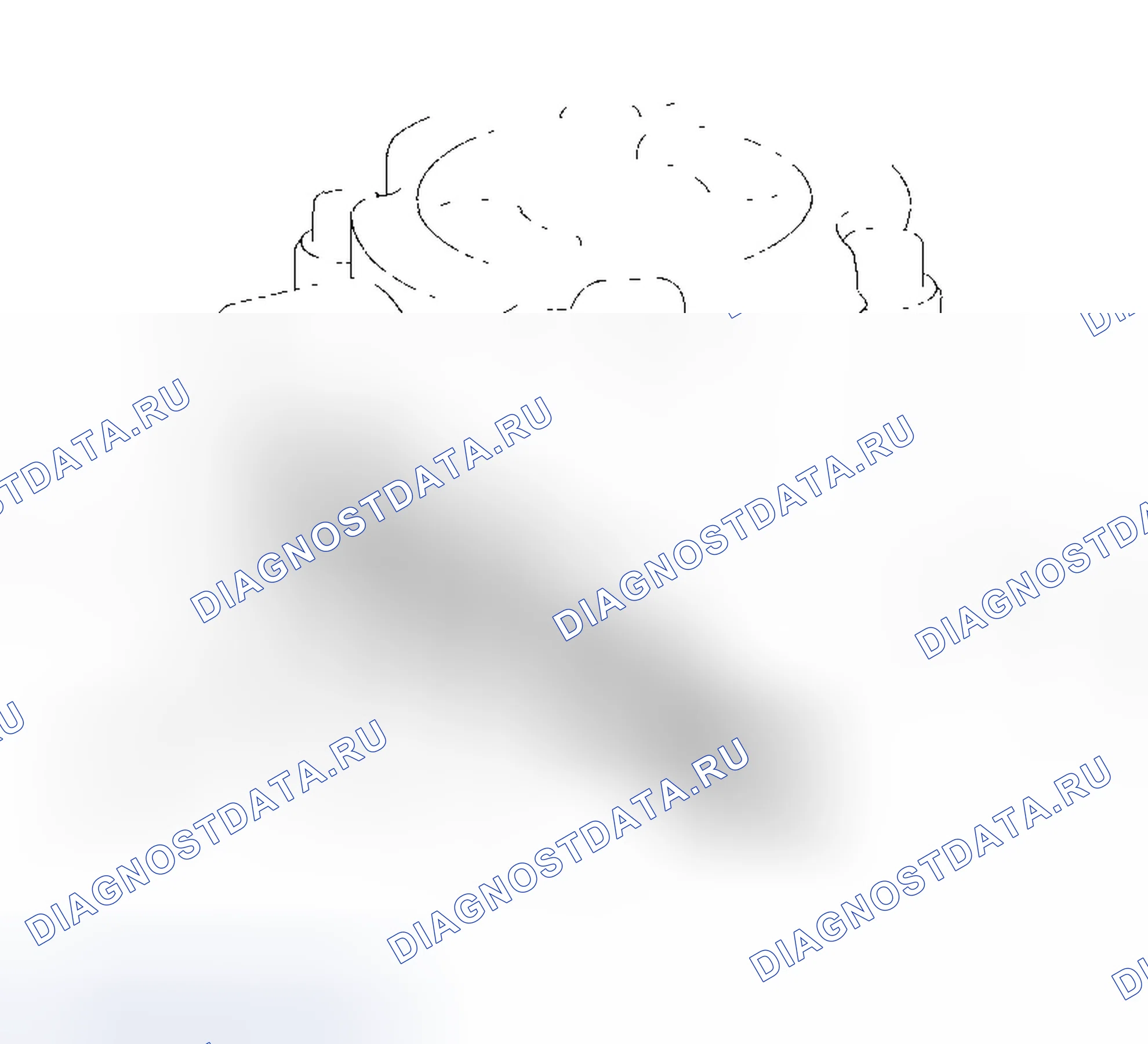 Рис. 126. Honda Element YH2