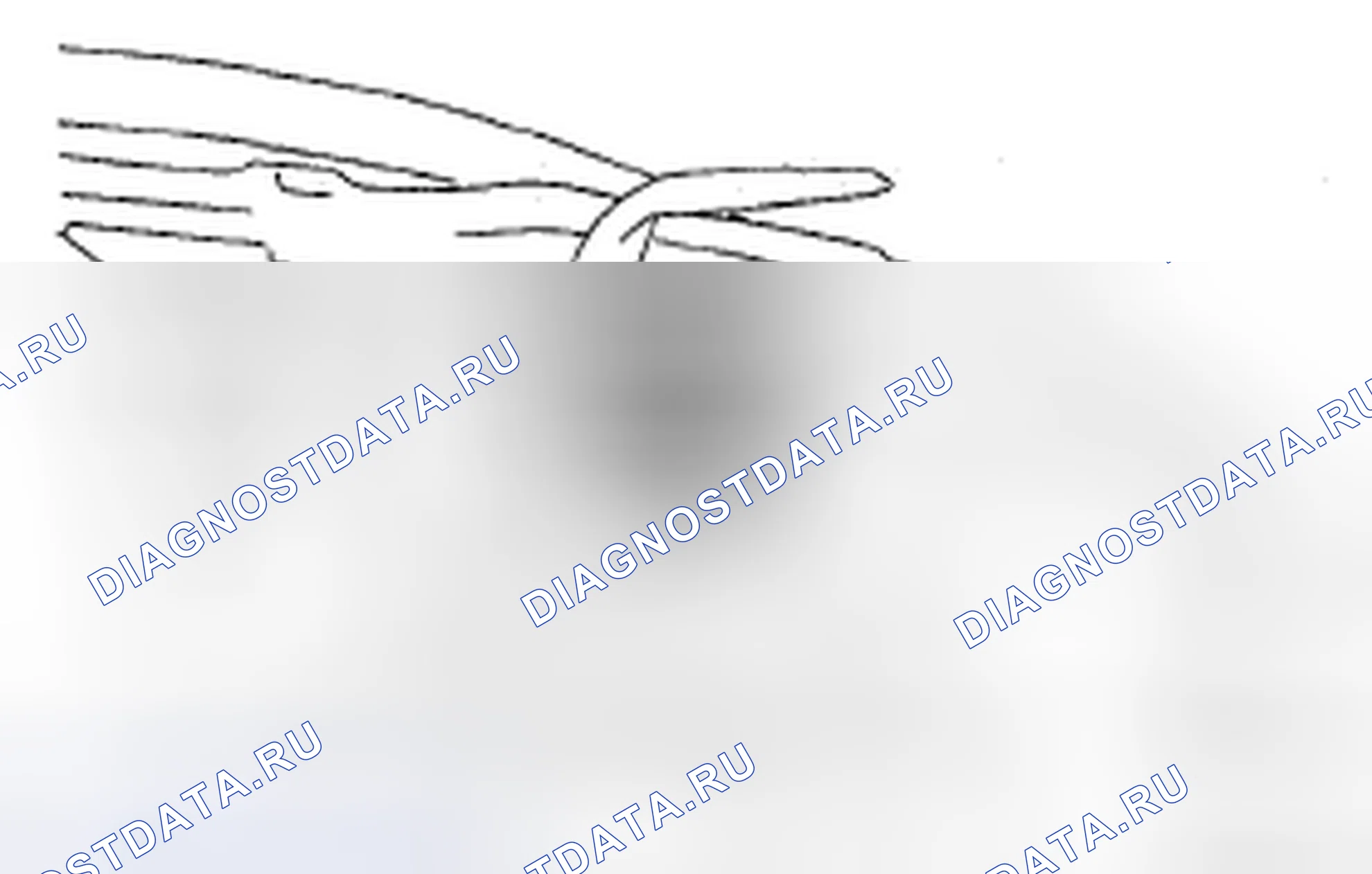 Рис. 119. Honda Accord IX