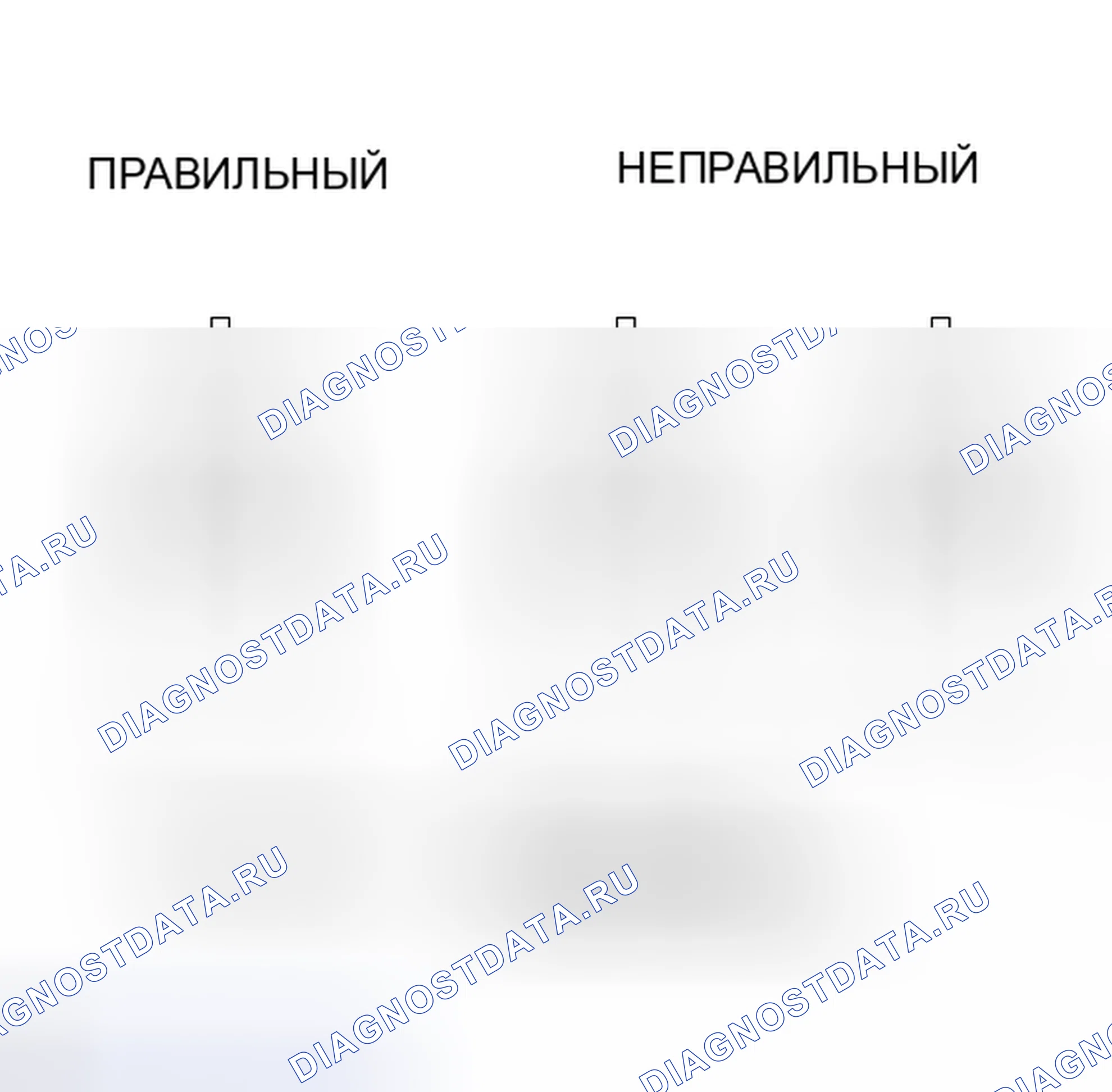 Рис. 63. Lexus IS F I