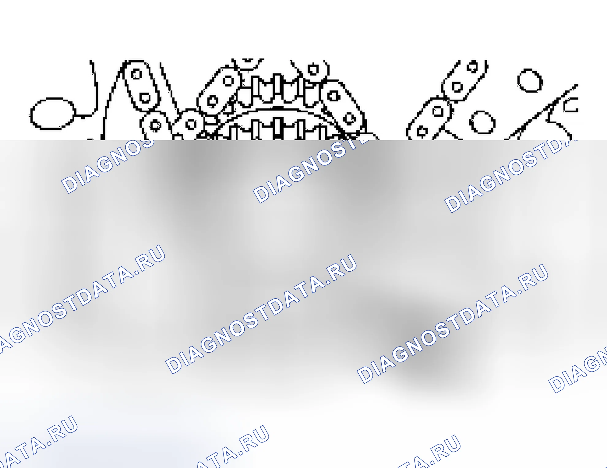 Рис. 424. Ford Escape I