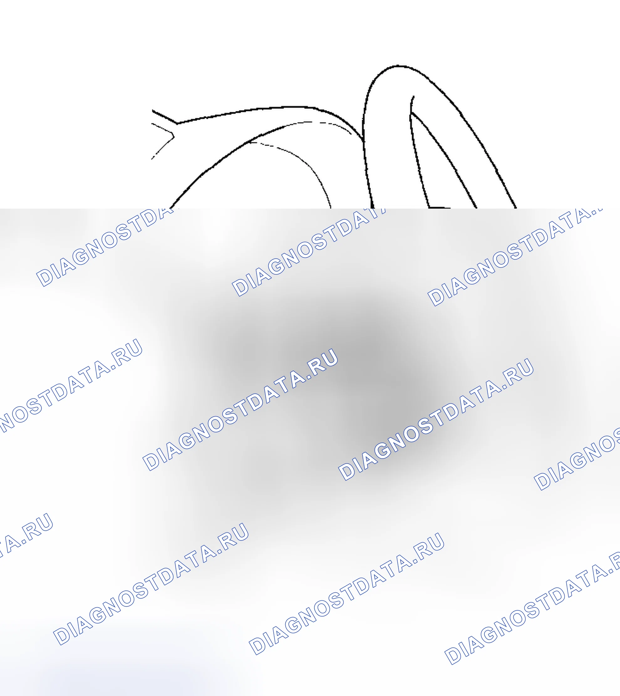 Рис. 82. Acura RSX I