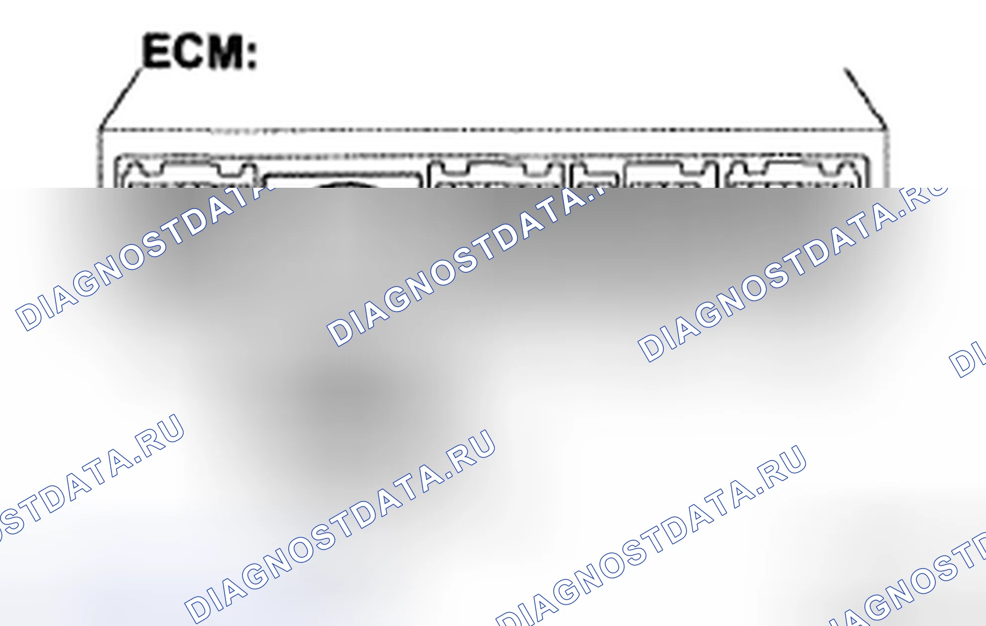 Рис. 312. Toyota Tacoma II
