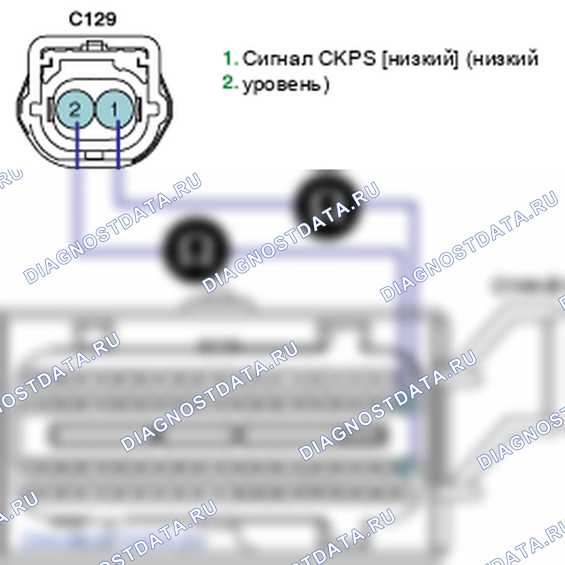 Контроль проводов — P0335. Kia Sorento BL