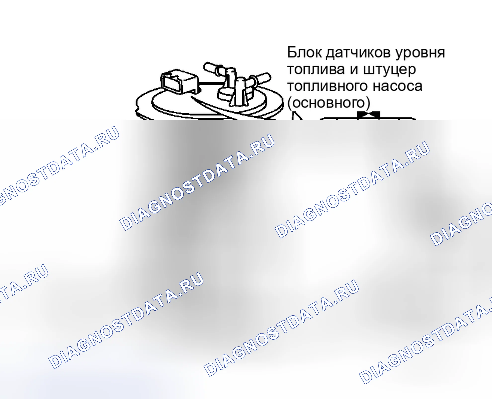 Рис. 59: Жгут датчика уровня топлива и насоса (основной). Honda Integra I