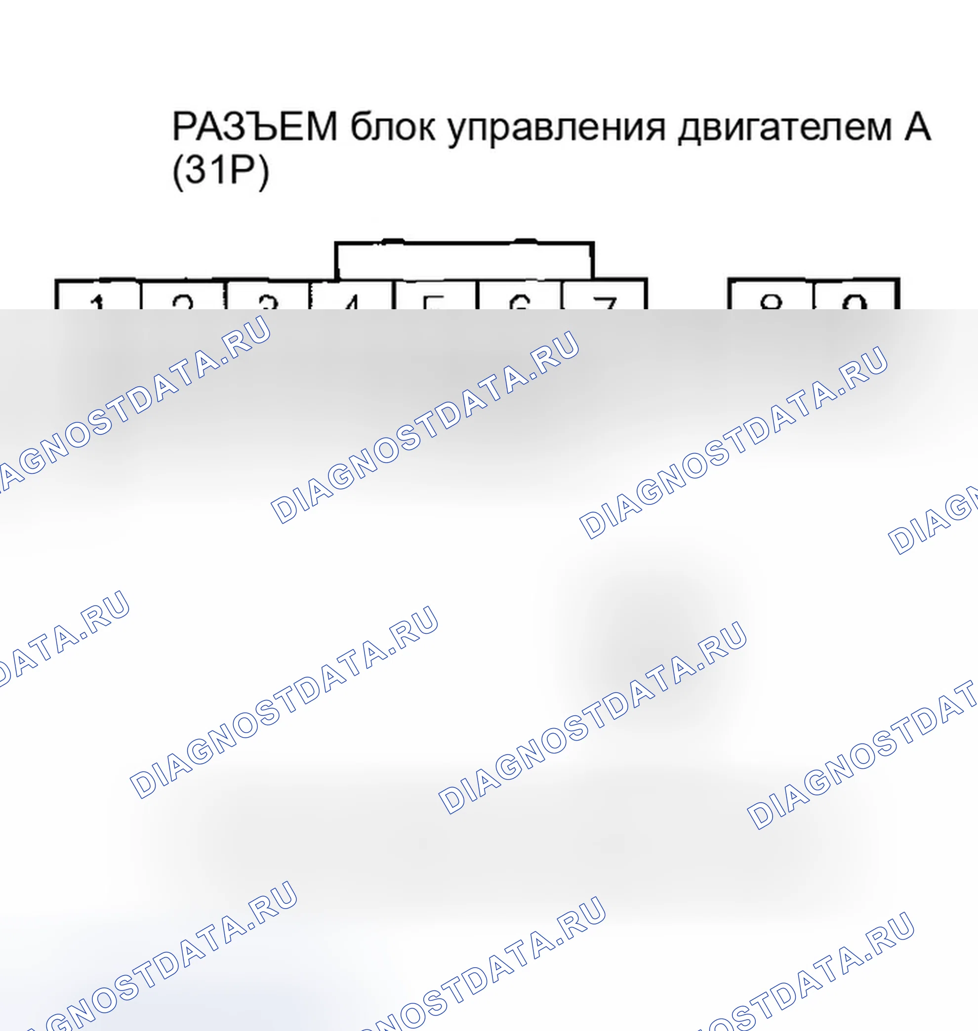 Рис. 136. Honda Accord VII рестайлинг