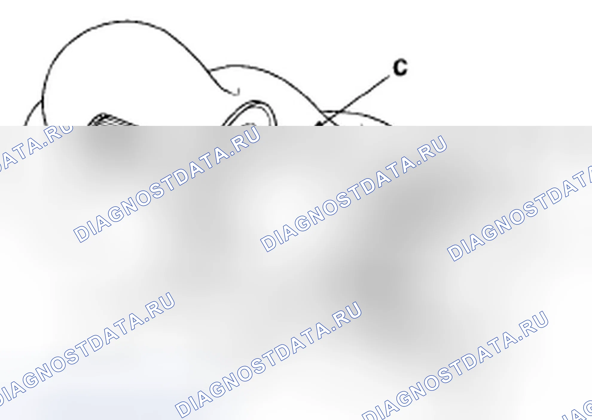Рис. 98: Внутренняя сторона соединения. Honda Element YH2 рестайлинг 2