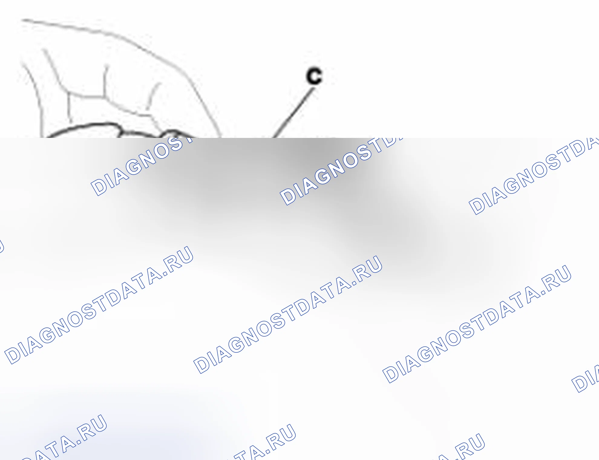 Рис. 63: Подключение. Geely Panda I