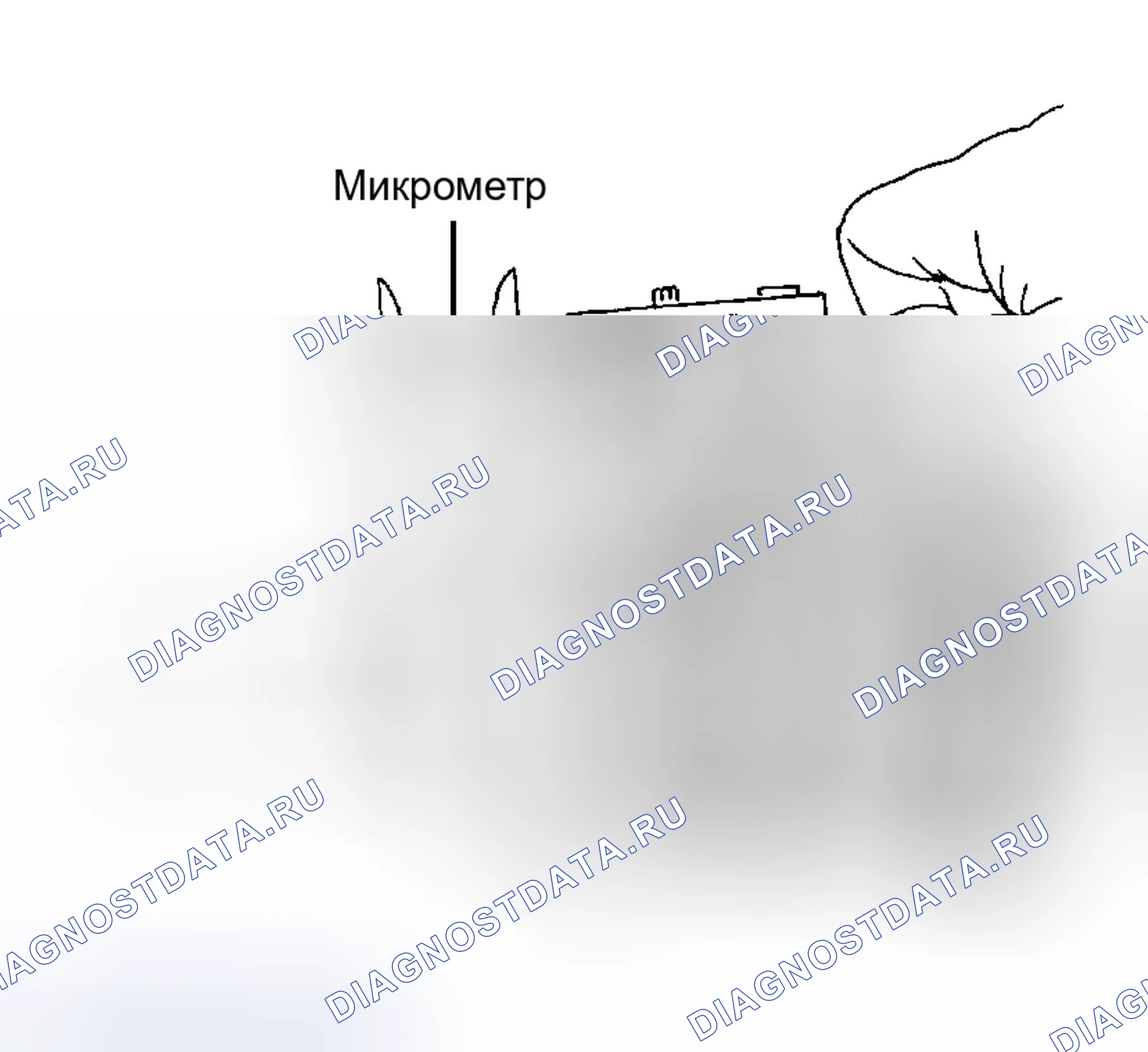 Рис. 11. Kia Sportage I