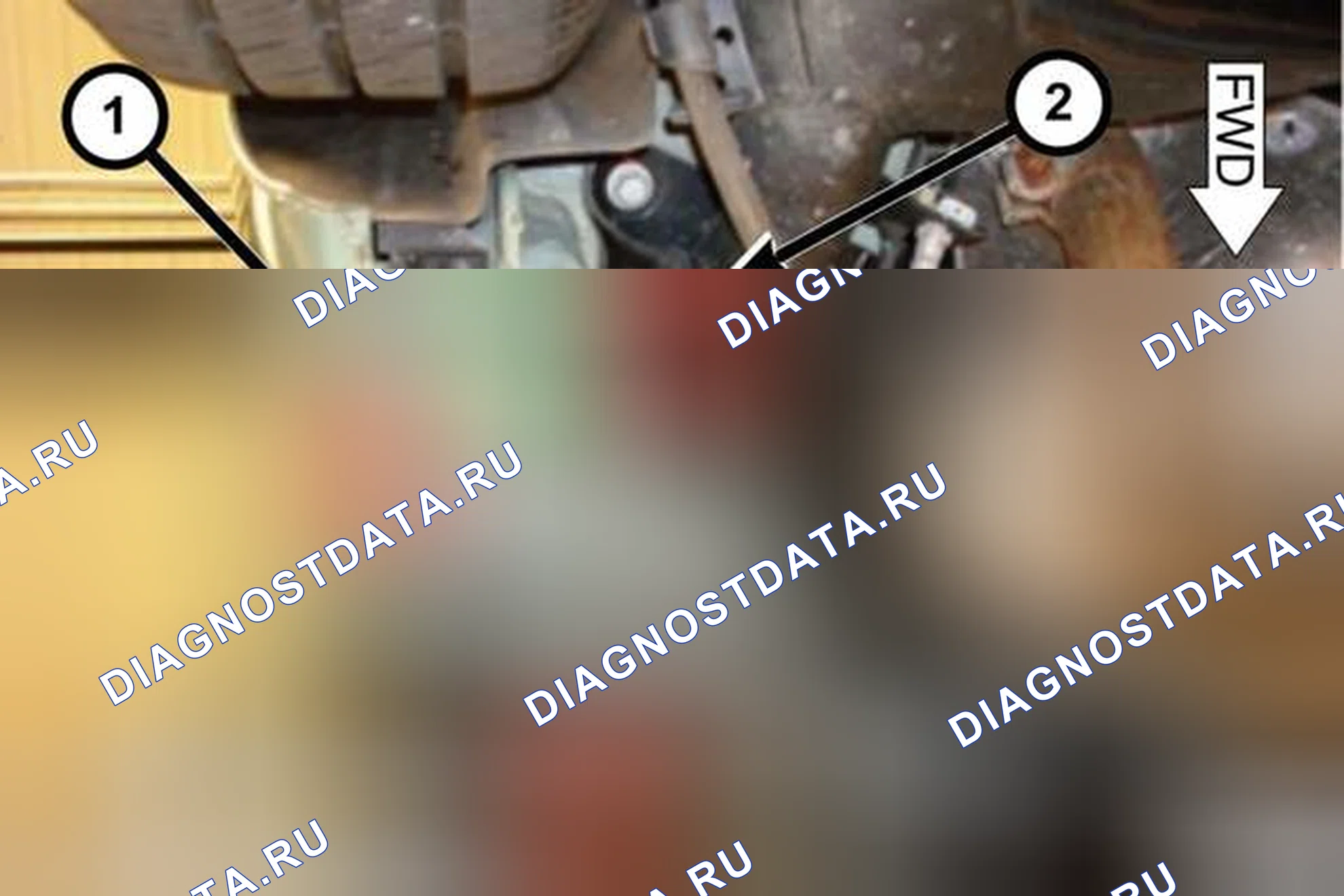 Рис. 6: РАСПОЛОЖЕНИЕ ЗАДНИХ ПОДЪЕМНИКОВ. FIAT 500 II