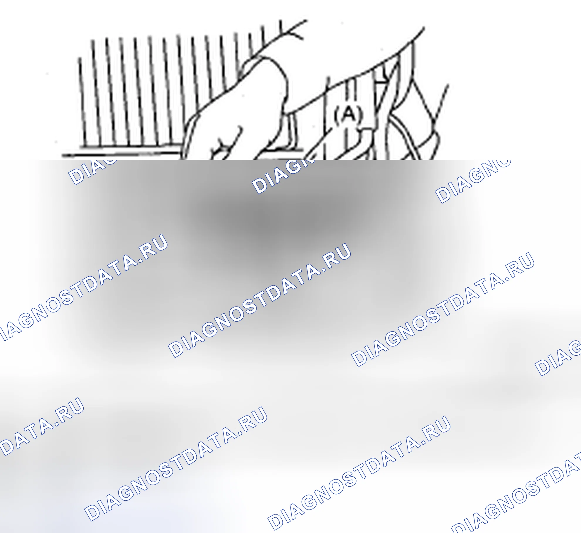Рис. 331. Subaru Impreza WRX GD/GG рестайлинг 2