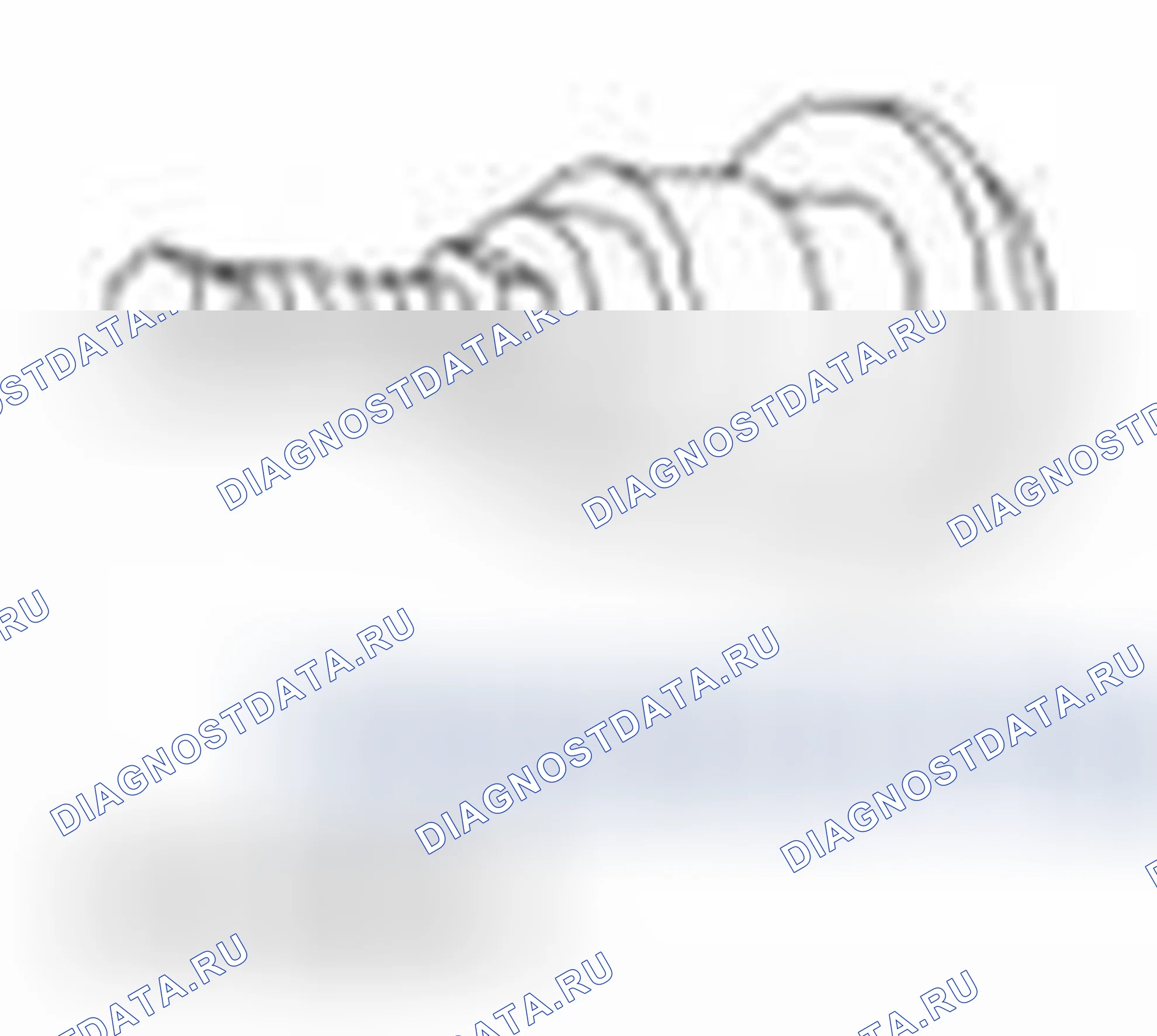 Рис. 1533. Ford Mustang V рестайлинг