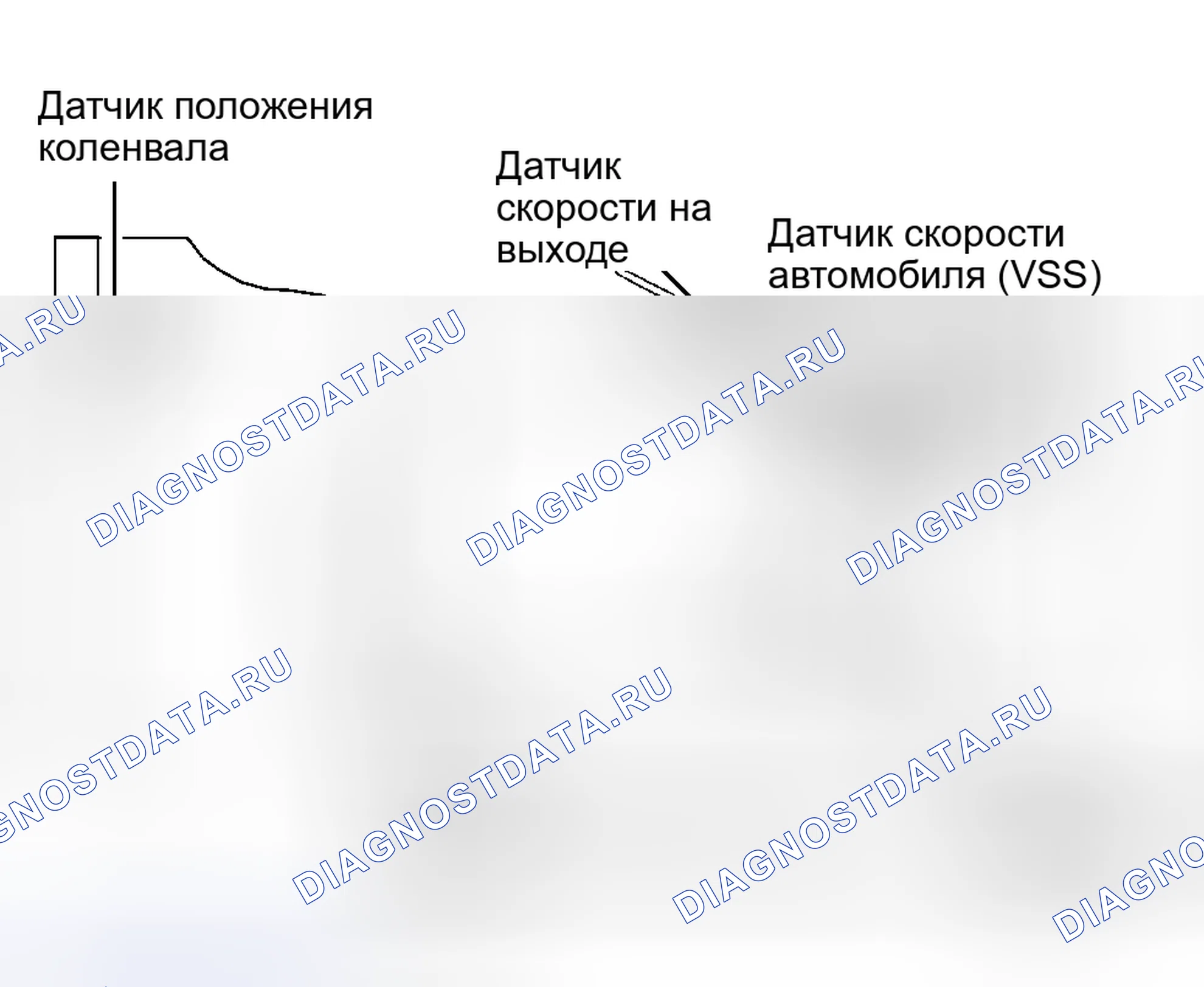 Рис. 14: Датчик скорости транспортного средства (датчик скорости автомобиля (VSS) (датчик скорости автомобиля)). Kia Sportage I