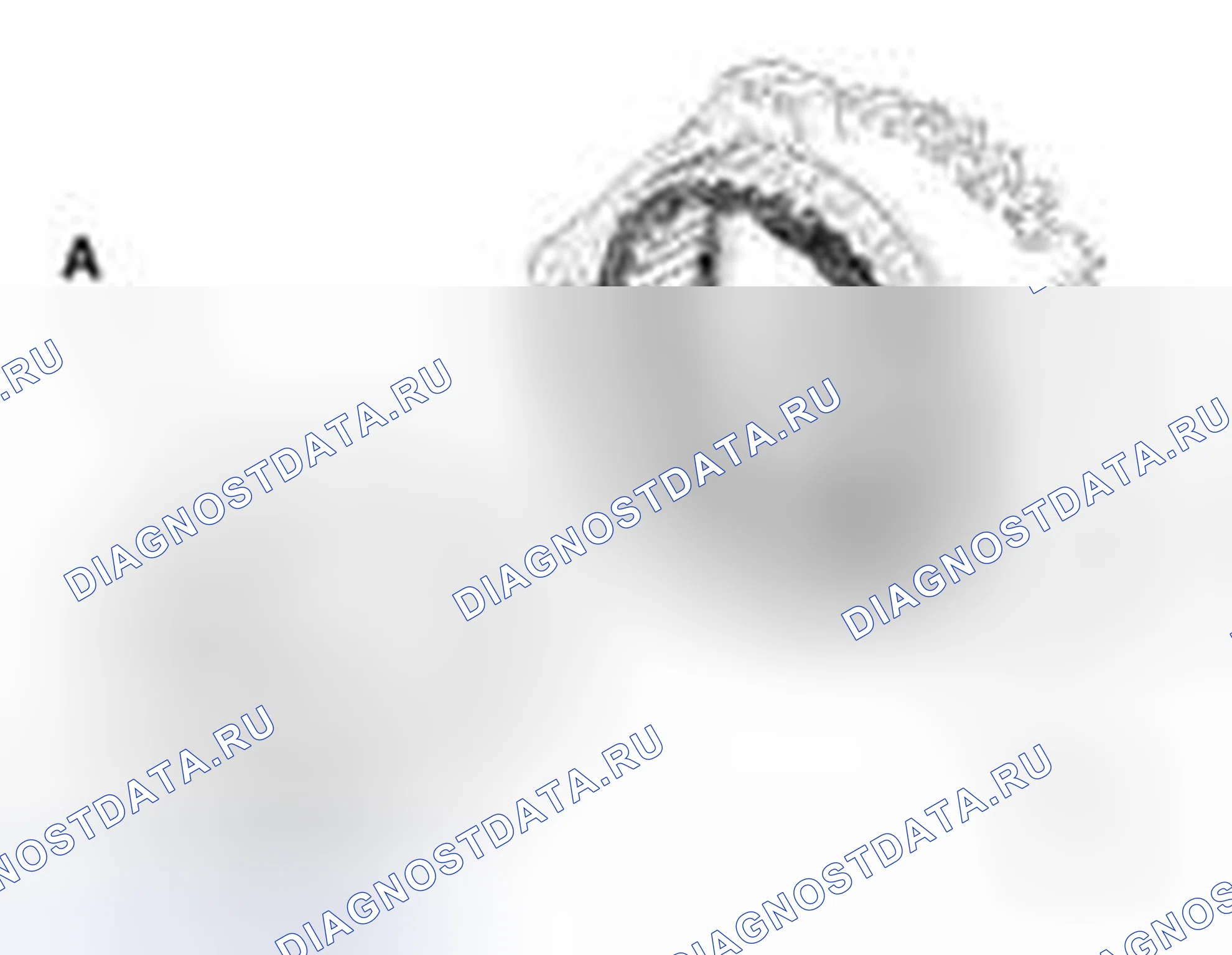 Рис. 75. Geely Vision X3 Pro I