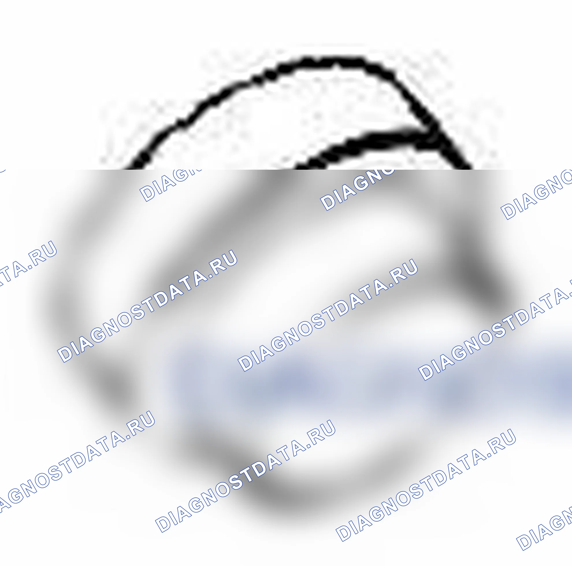 Рис. 120. Suzuki Grand Vitara II