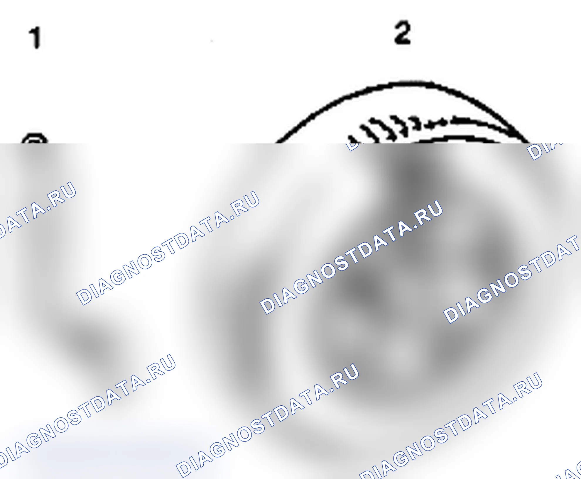 Рис. 5. Suzuki Grand Vitara II рестайлинг