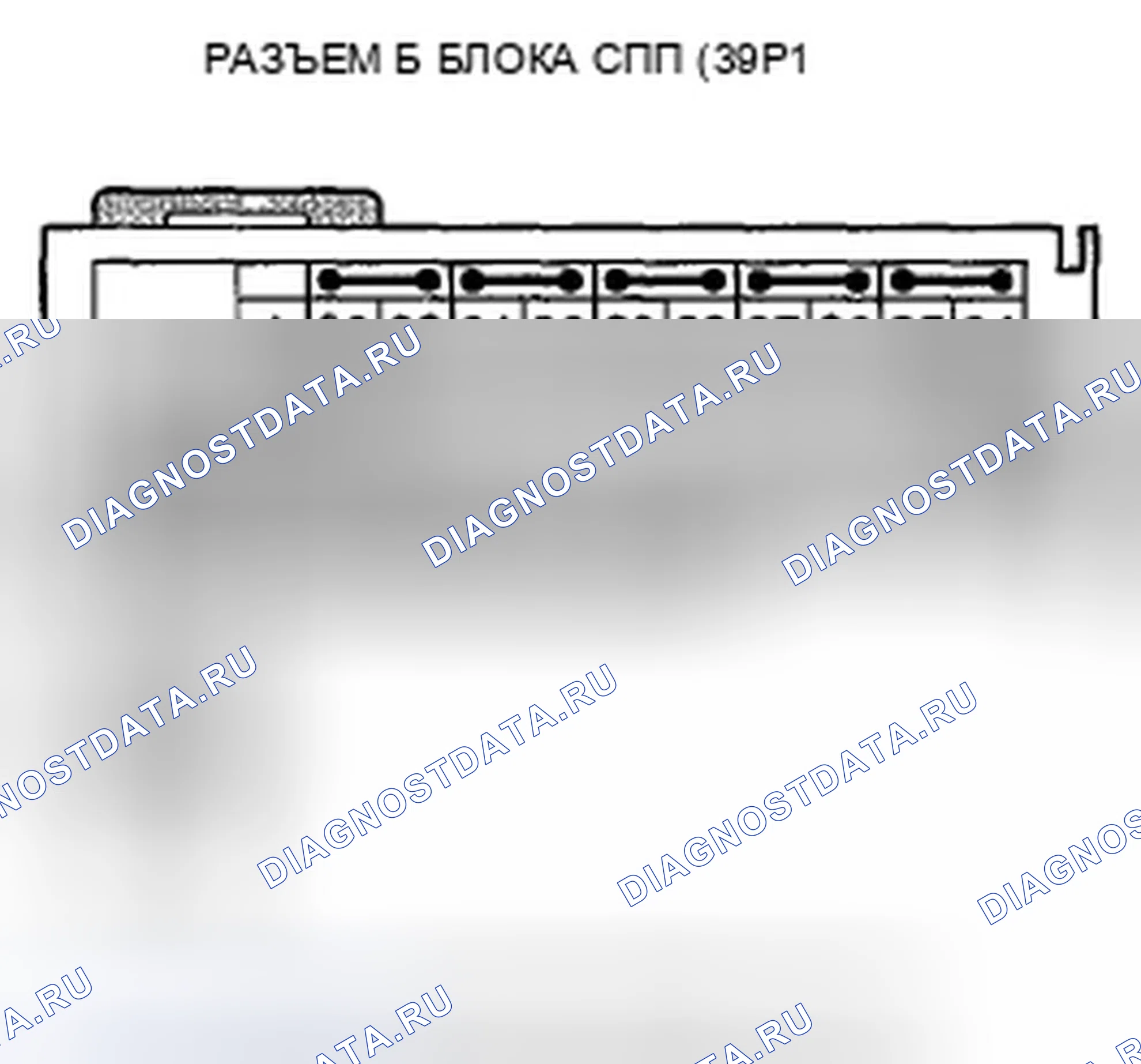 Рис. 185. Honda Crosstour I