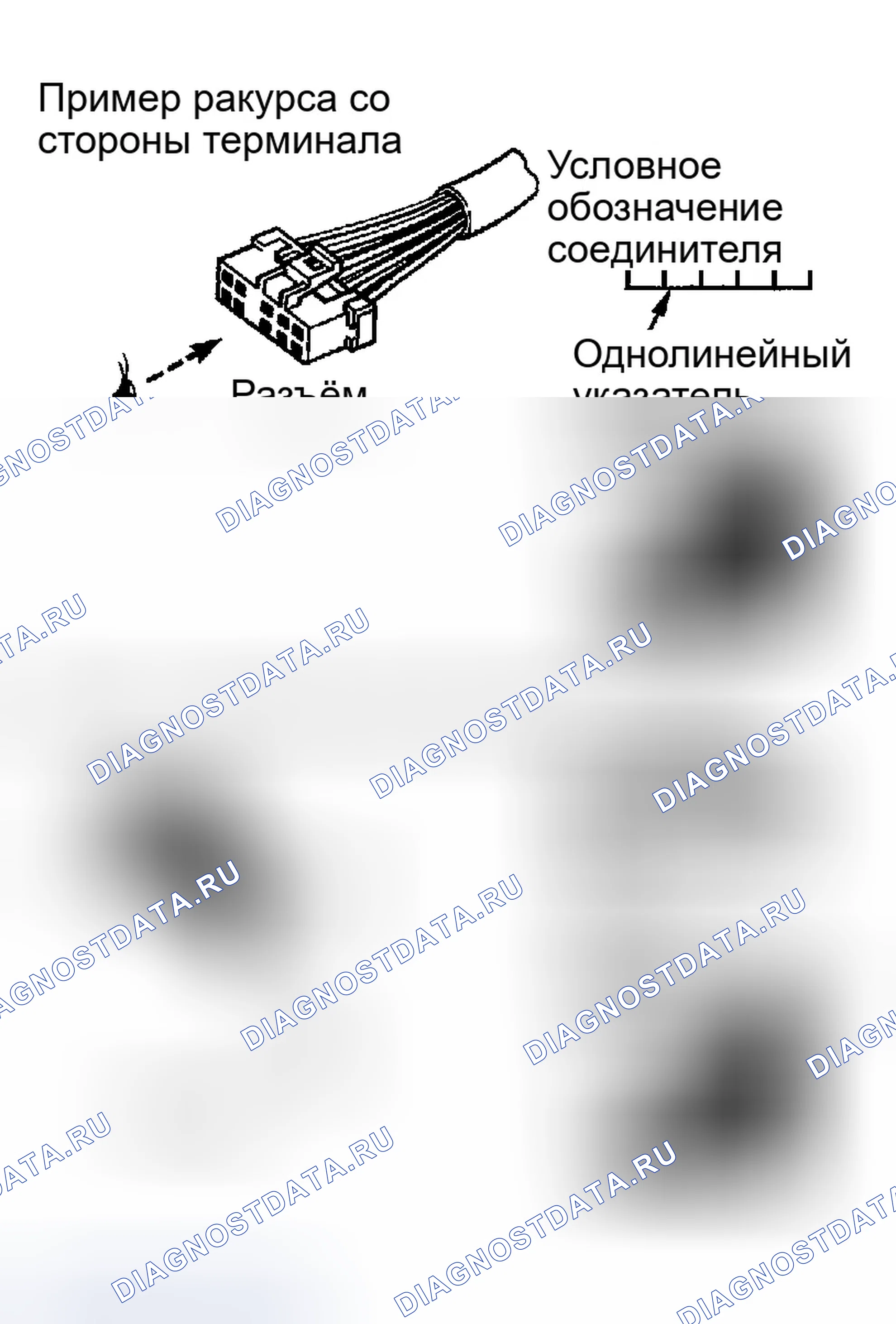 Рис. 116: Обозначения разъемов. Infiniti G35 III