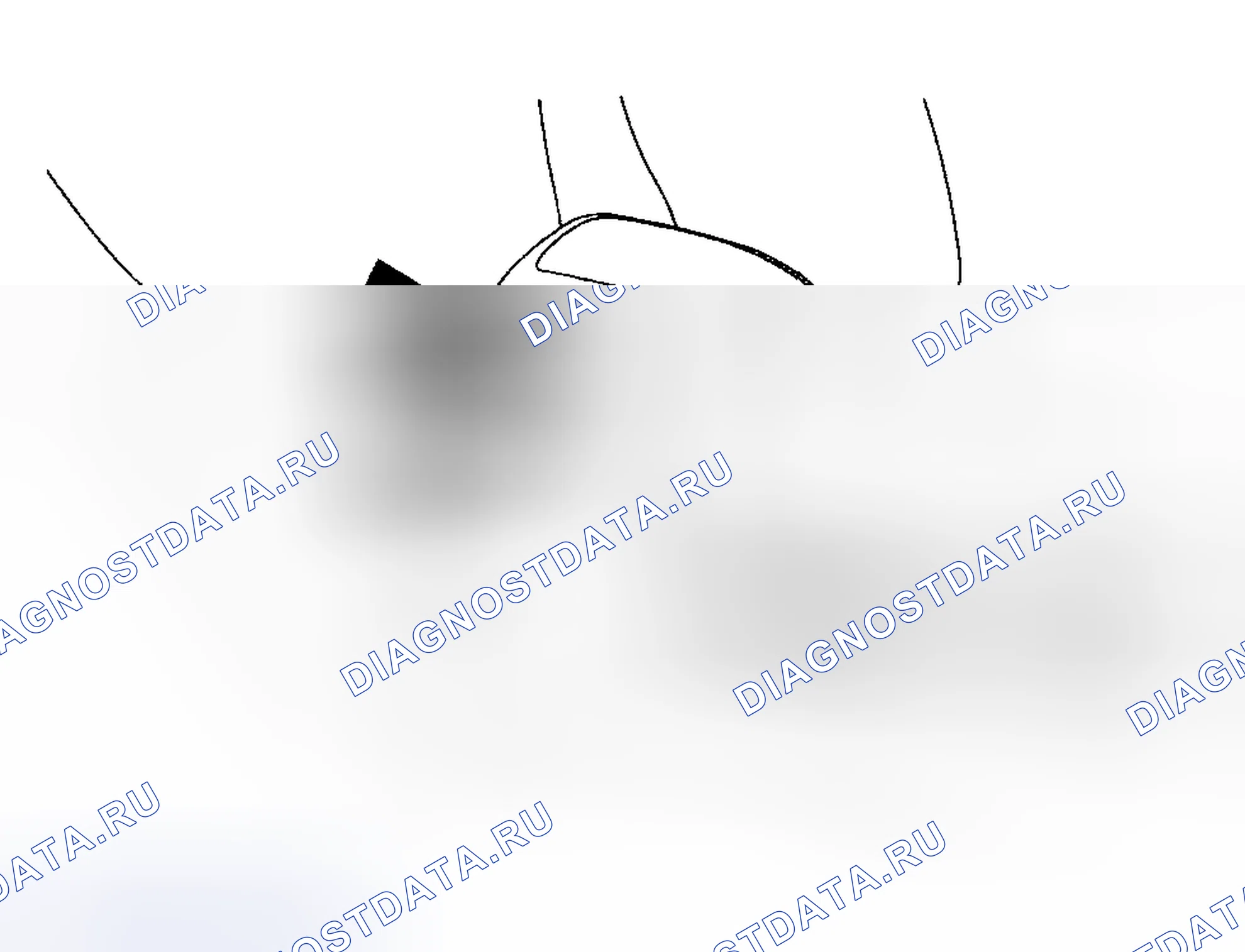 Рис. 26. Ford Focus I рестайлинг