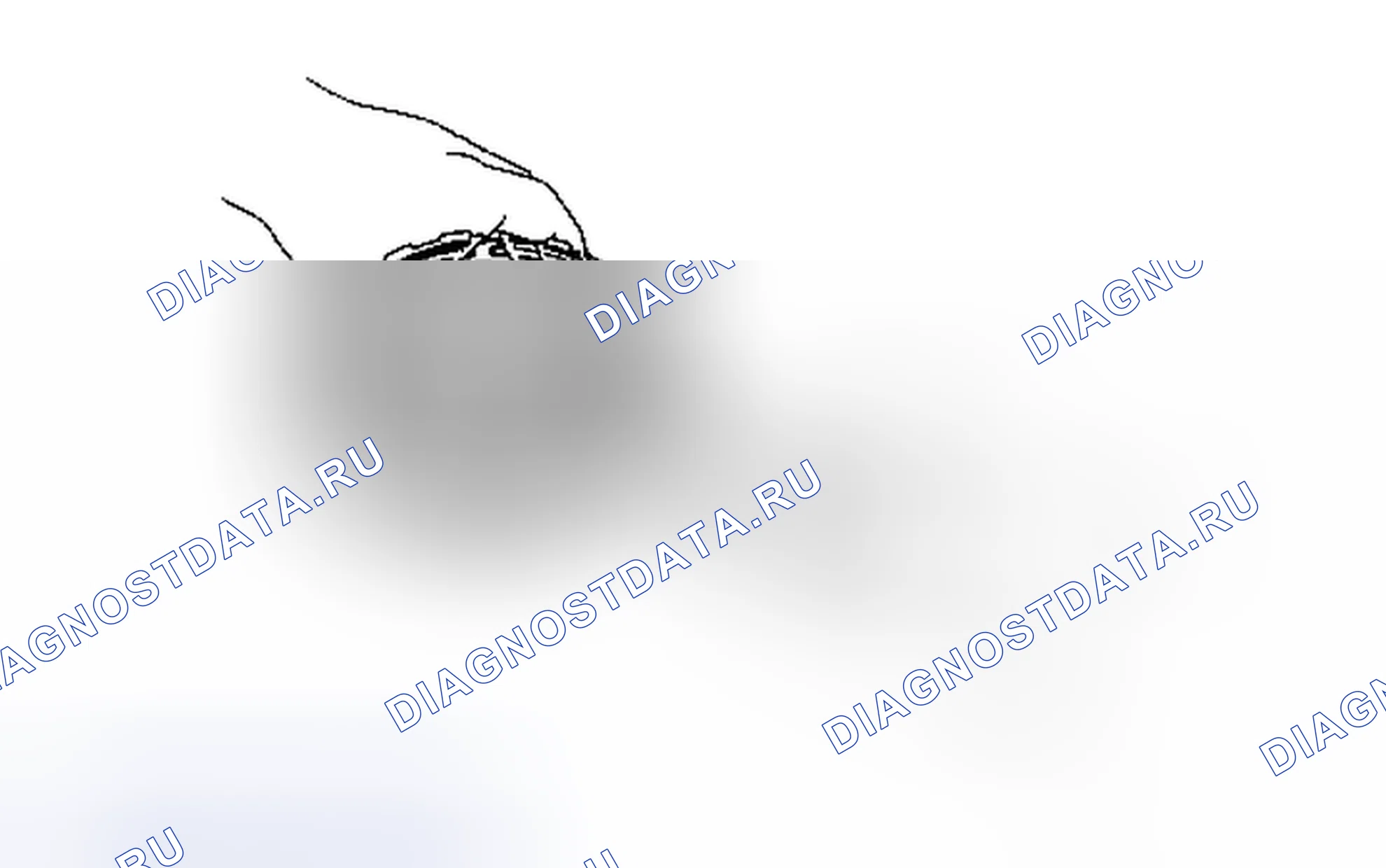 Рис. 638. Toyota Tacoma II рестайлинг