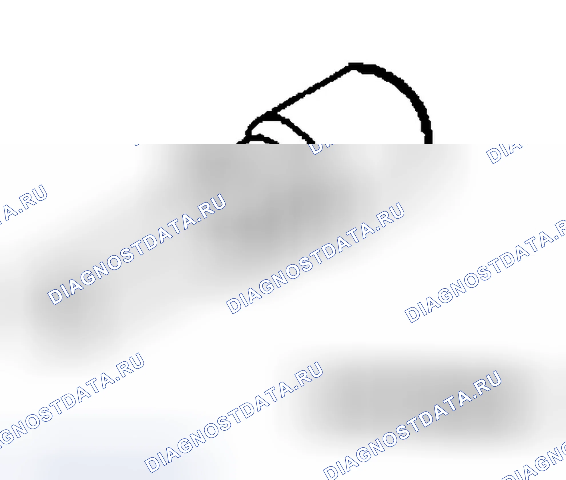 Рис. 924. Ford Focus I рестайлинг