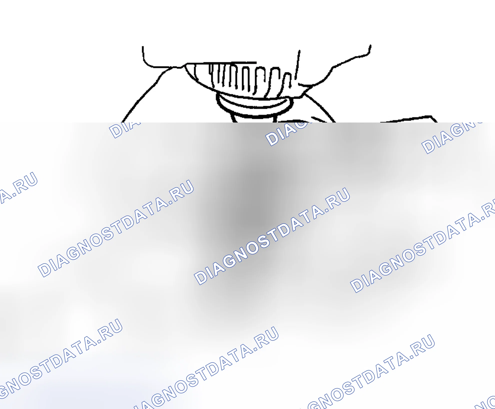 Рис. 12. Toyota Highlander I