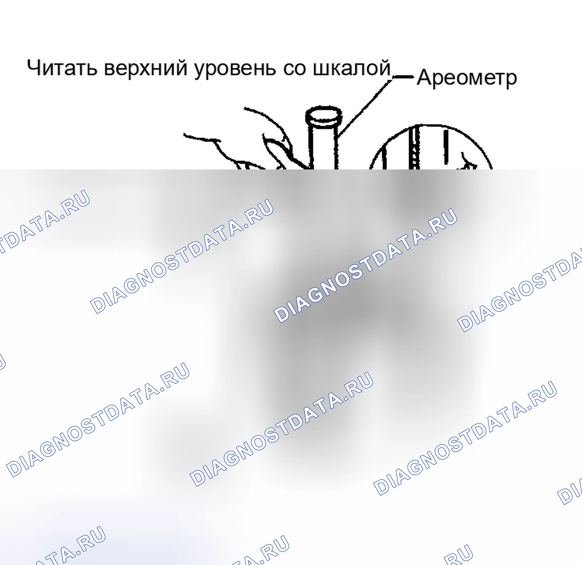Рис. 17: ПРОВЕРКА УДЕЛЬНОГО ВЕСА. Nissan Sentra B15