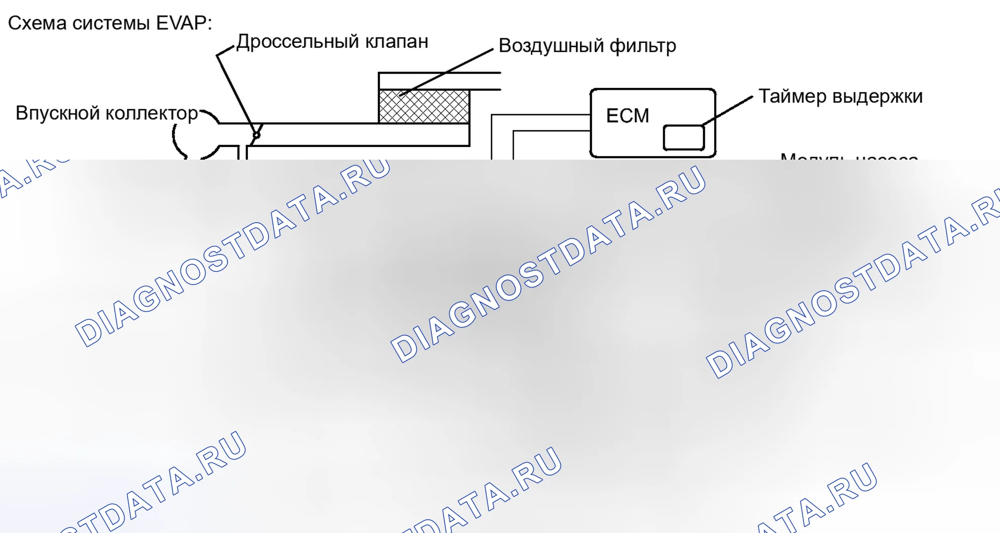 Рис. 554. Toyota Camry XV40 рестайлинг